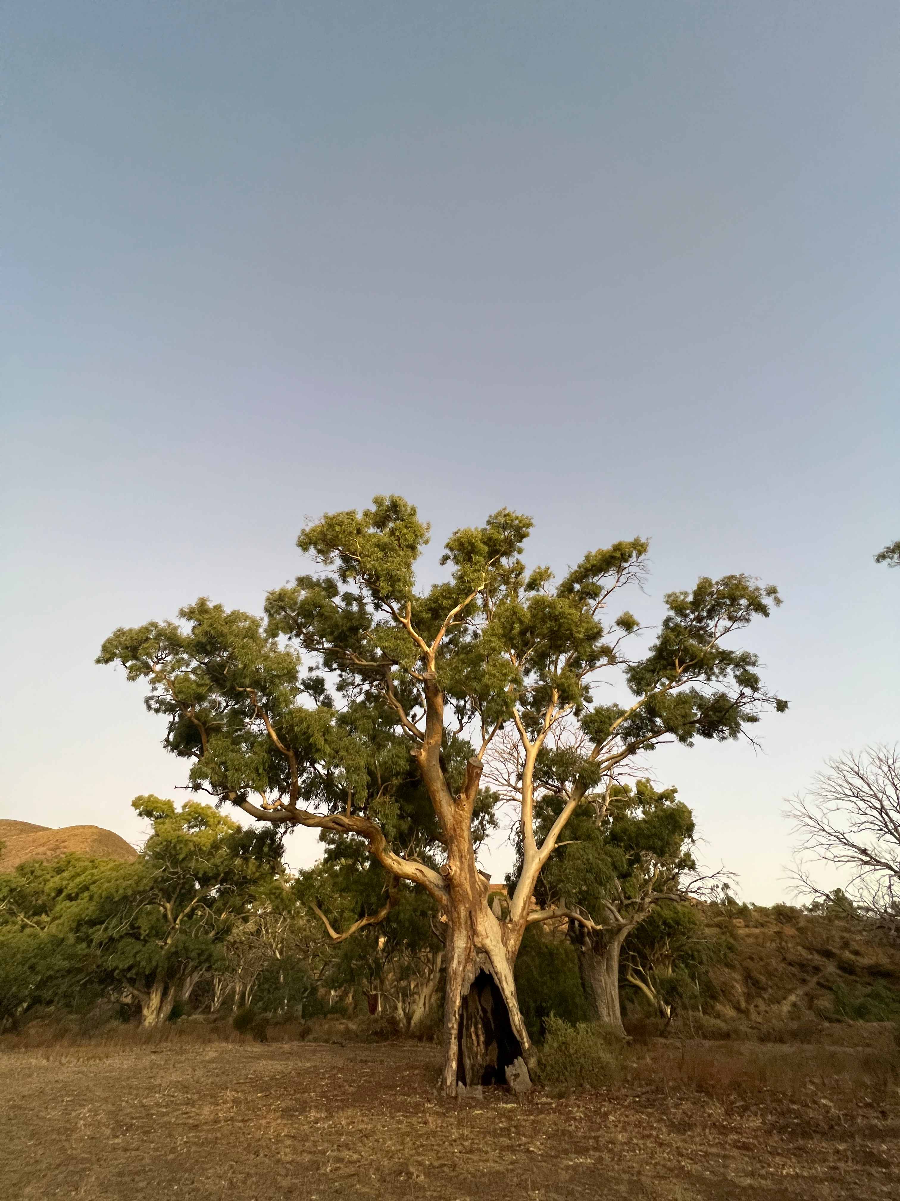 Spear Creek Holiday Park
