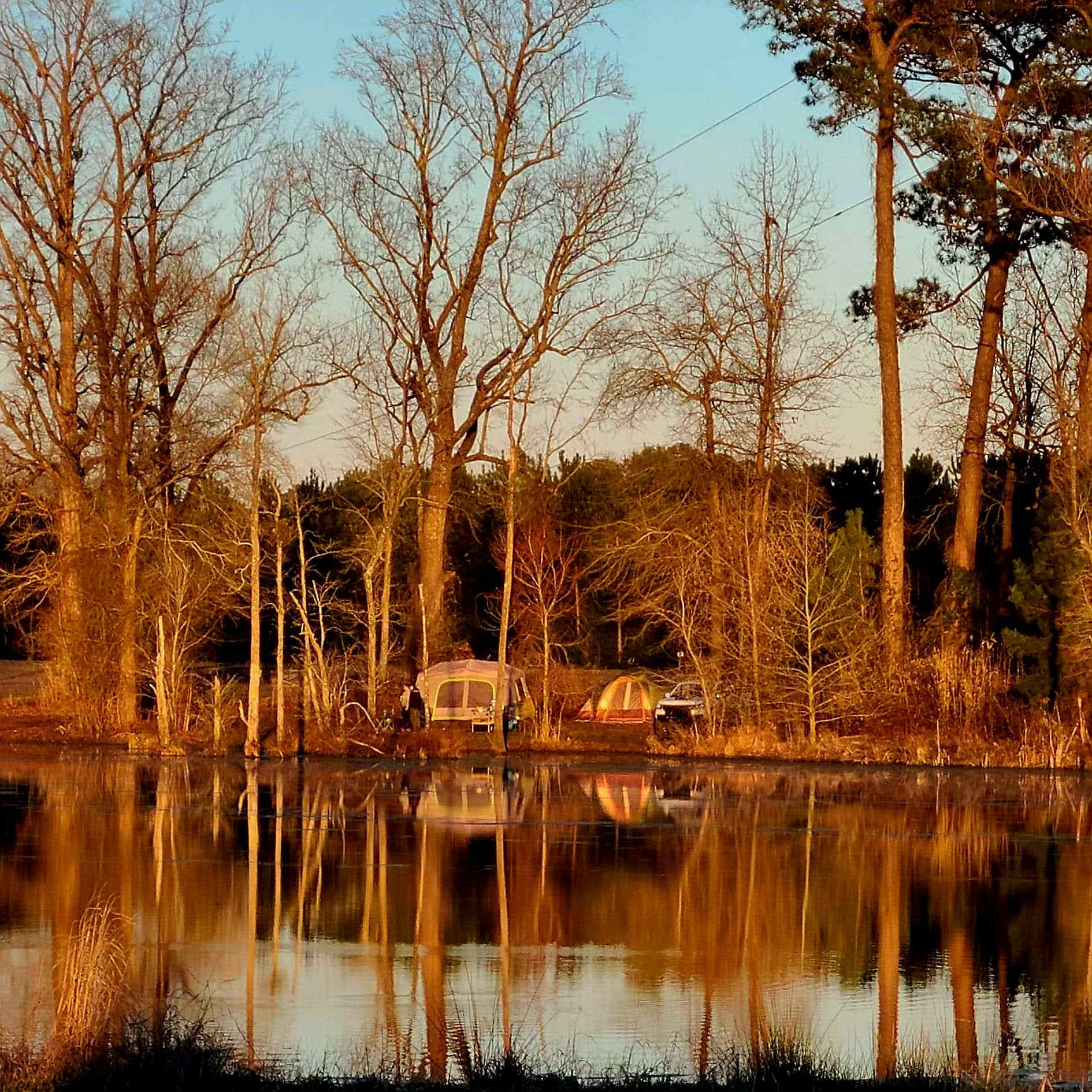 Picture of the site