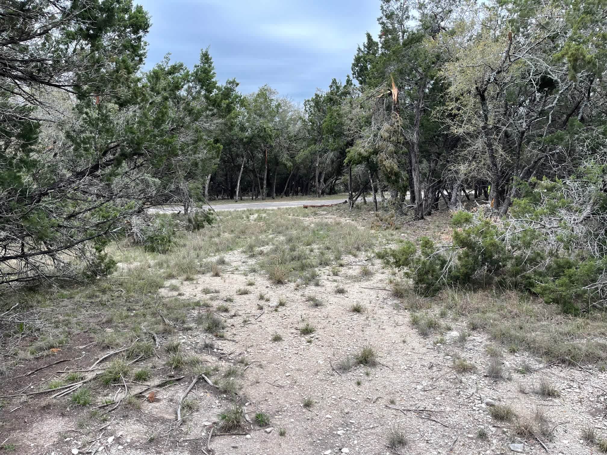 Hill Country Coyote Trails
