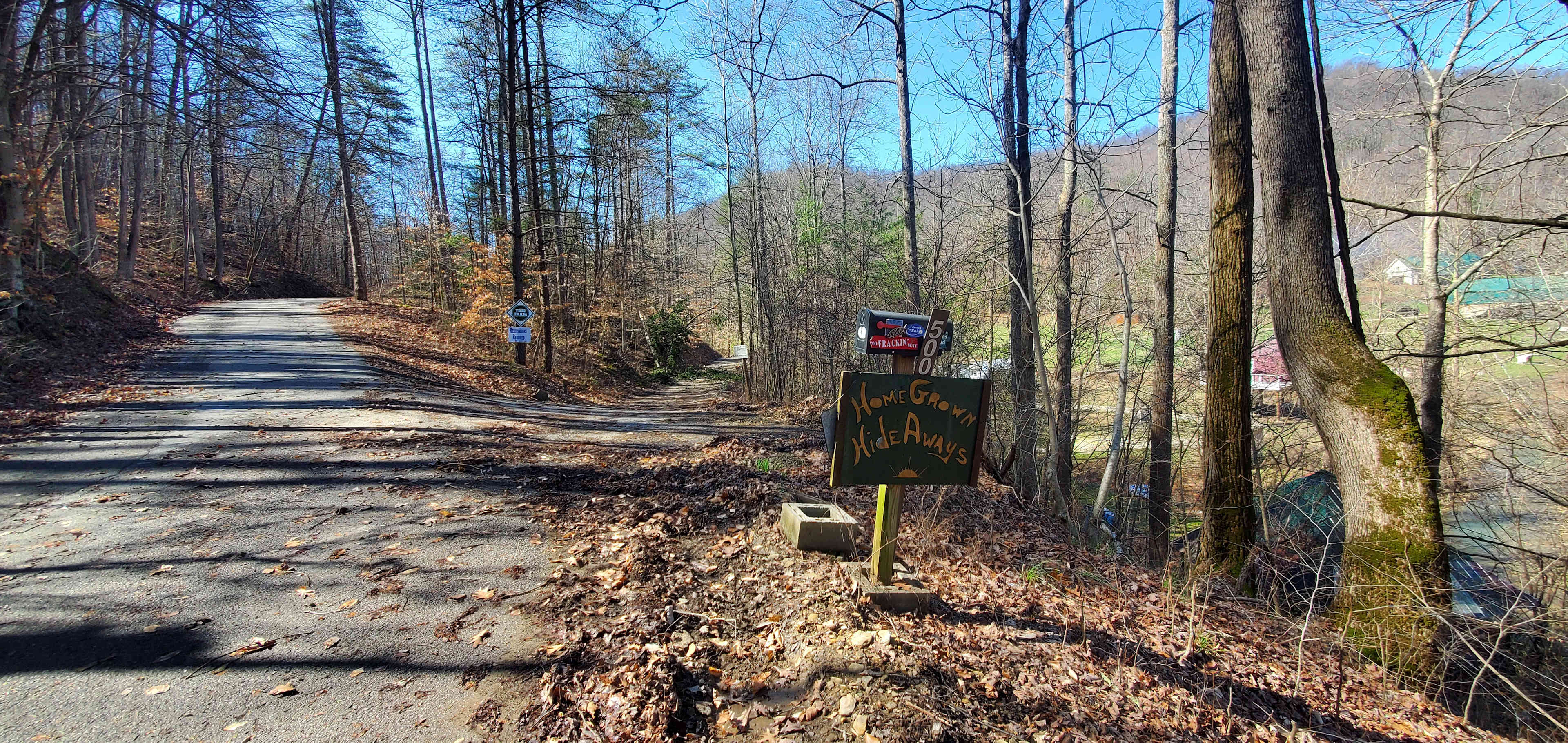 Picture of the site