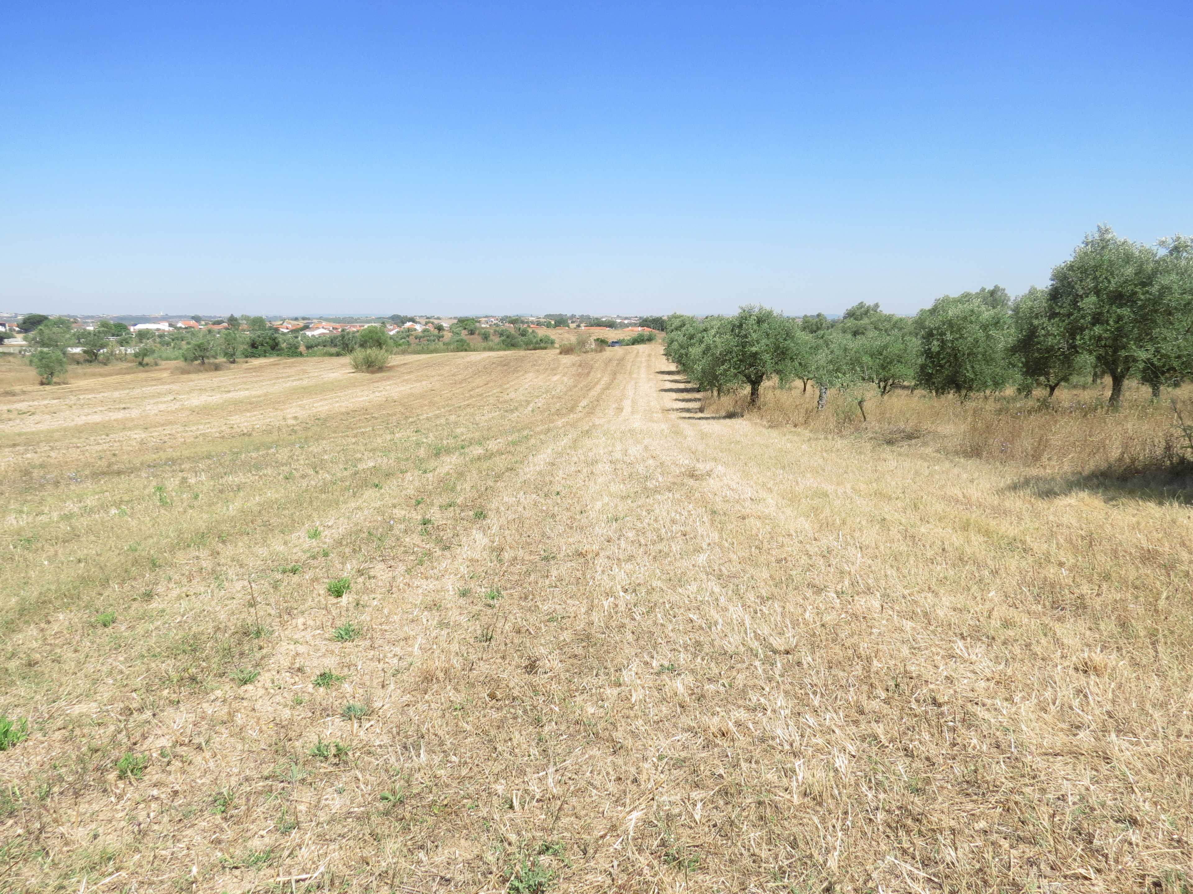 Eurekas Village