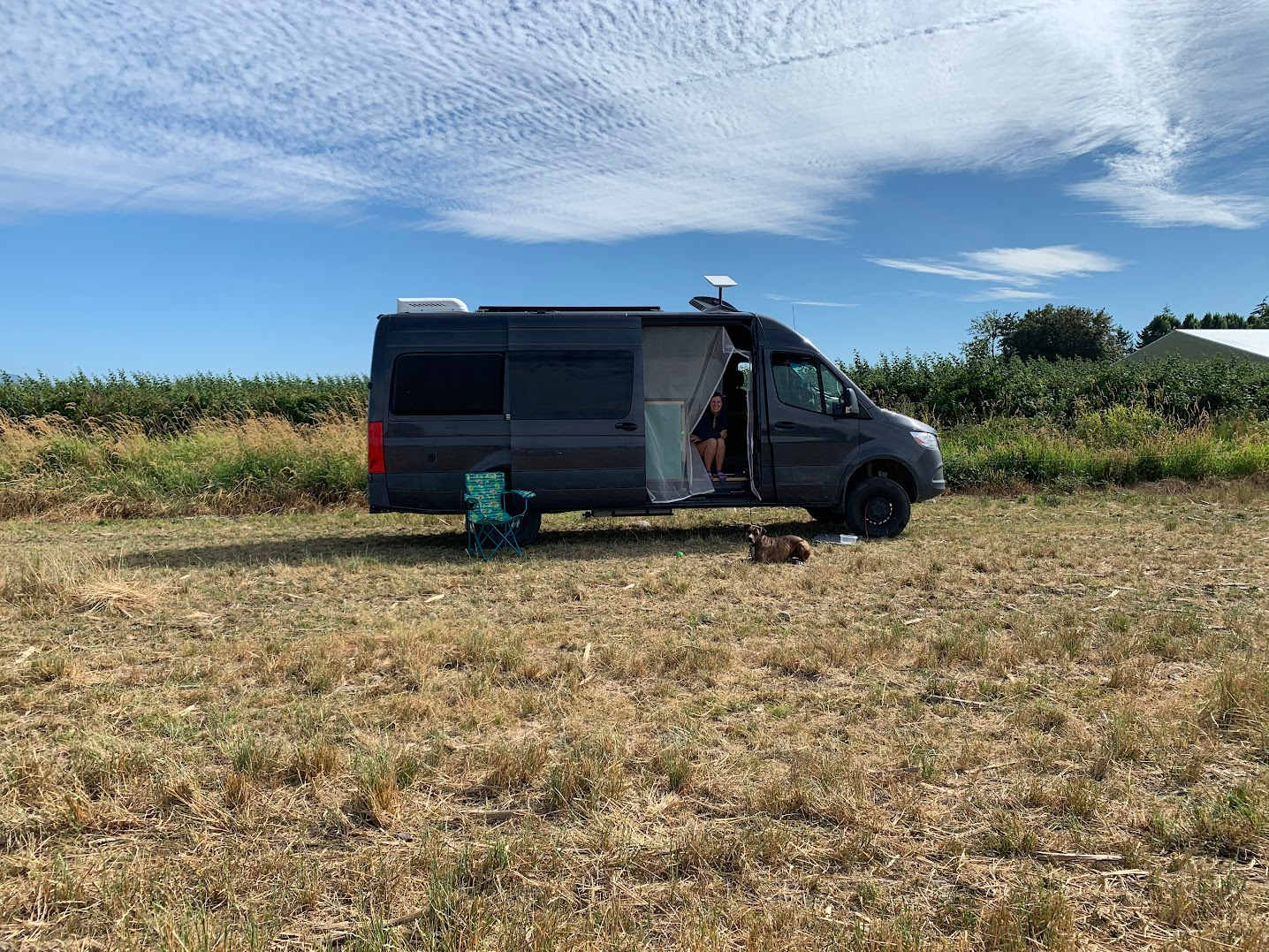 Picture of the site