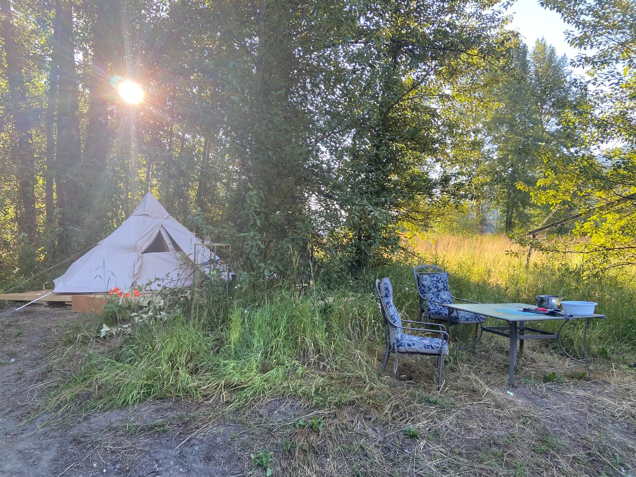 Picture of the site