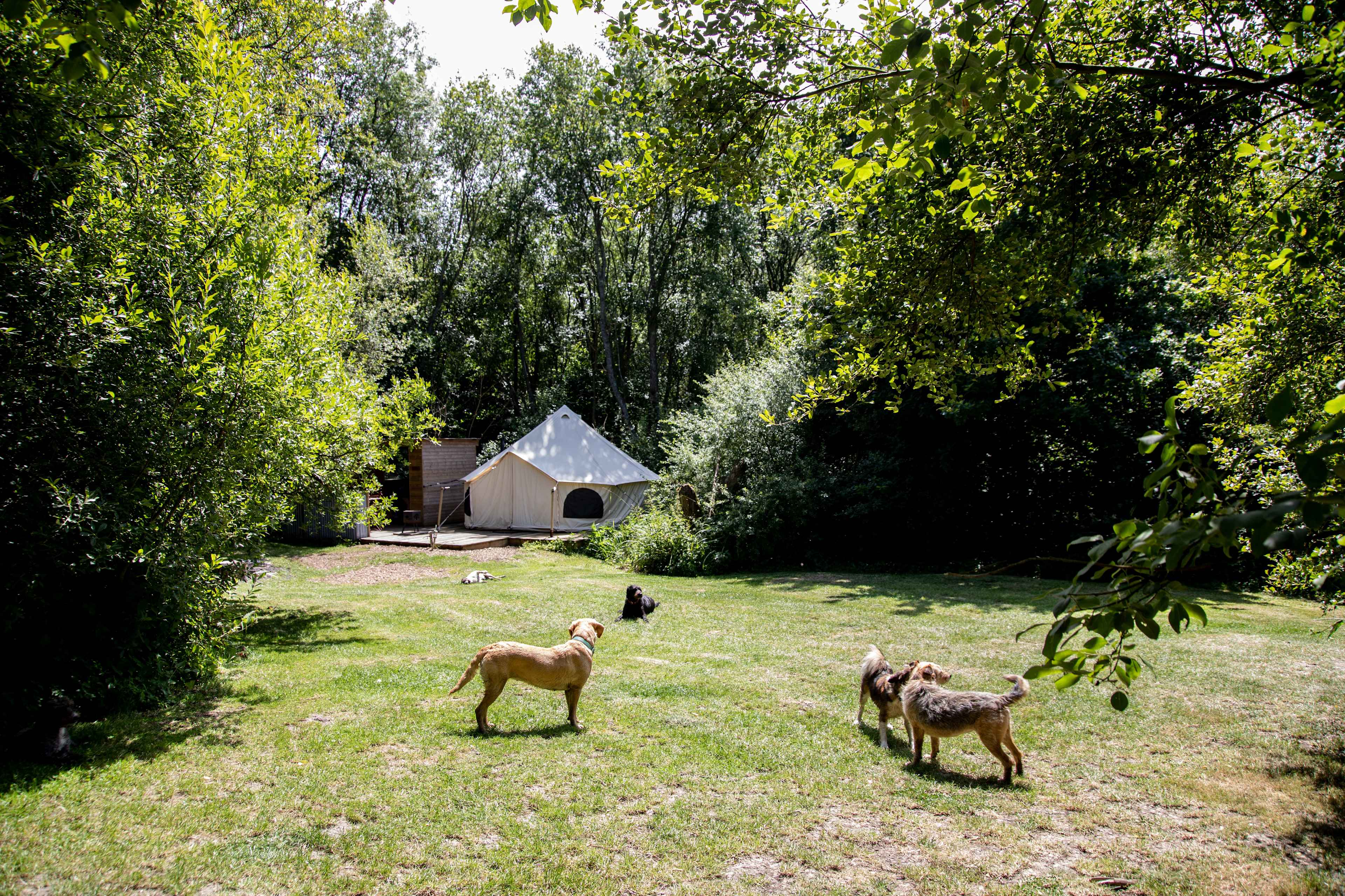 Dernwood Farm Wild Camping