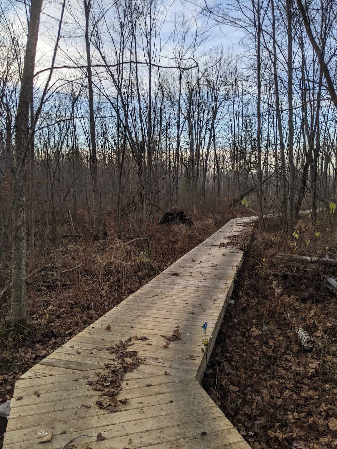 Trails and boardwalk across the 6.3 acres