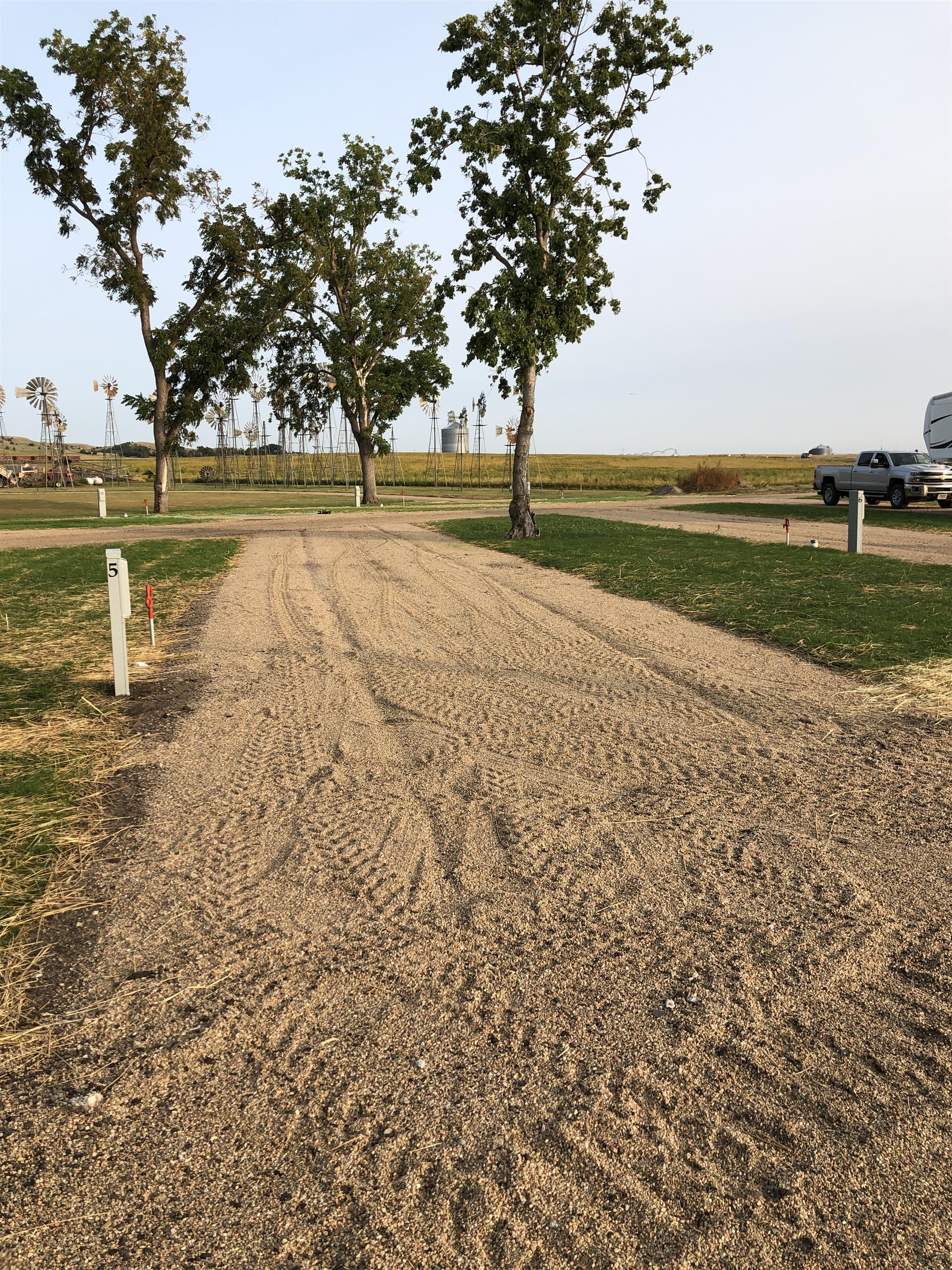 Picture of the site