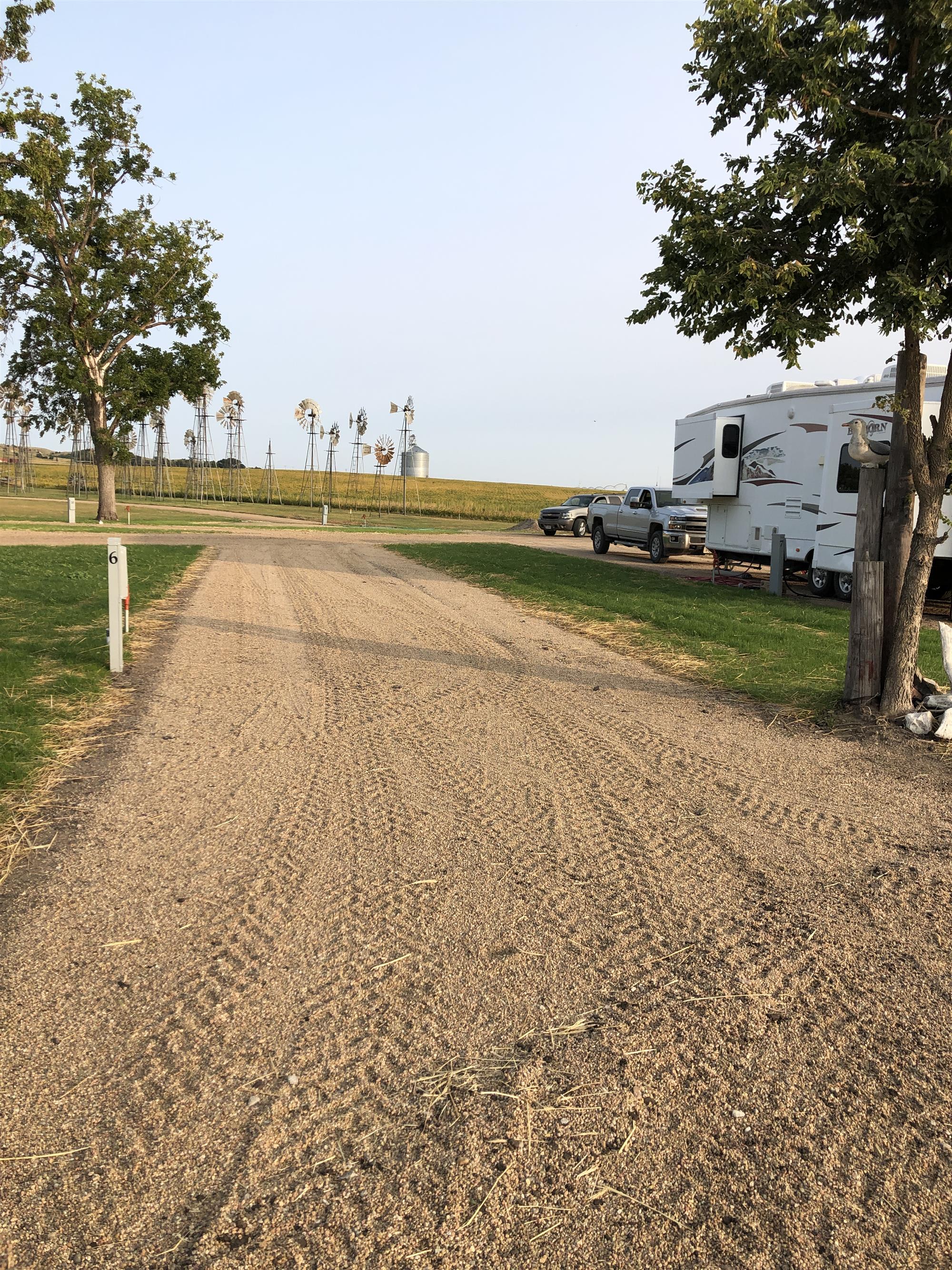Picture of the site