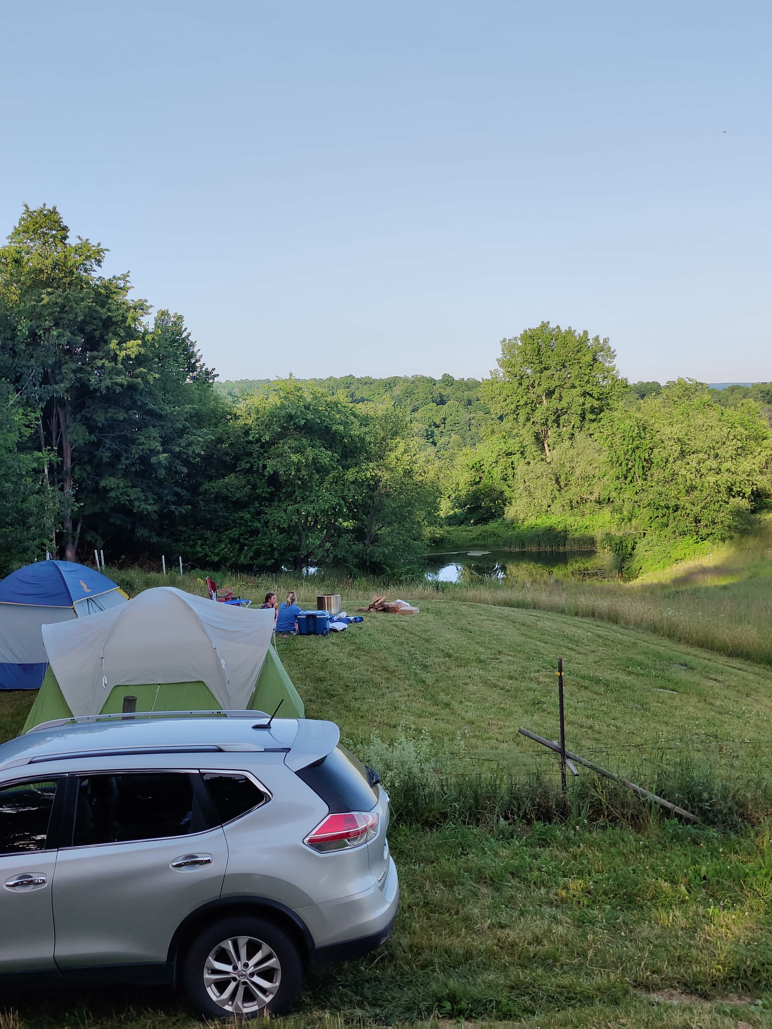 Picture of the site