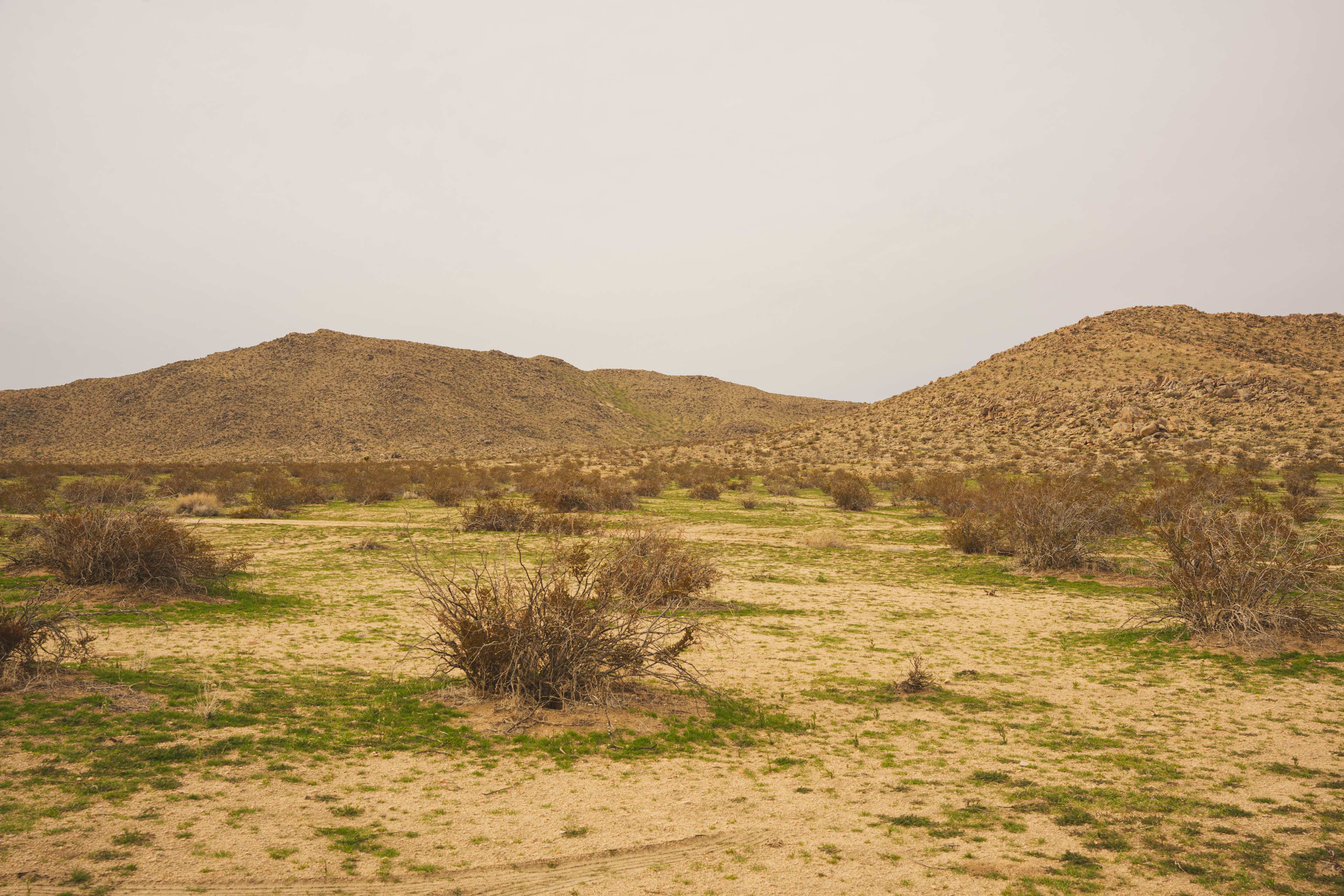 Large Desert with a Gorgeous View!