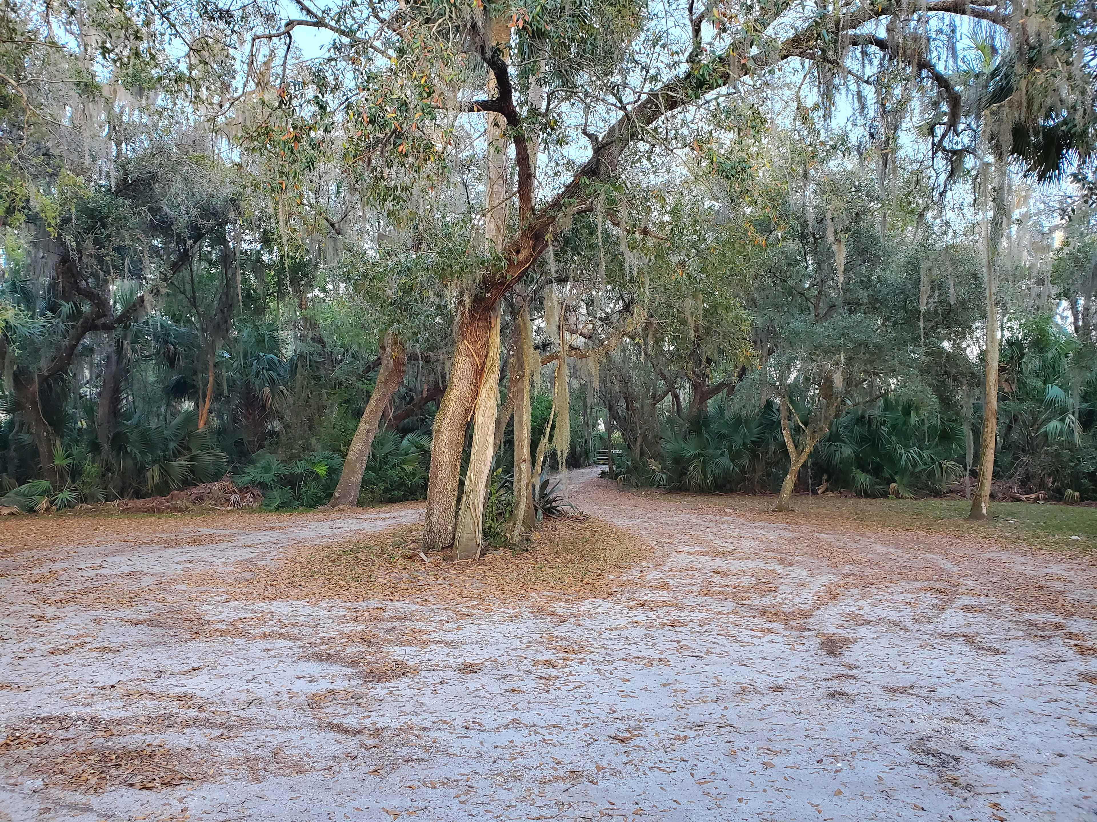 Driveway entrance & exit.