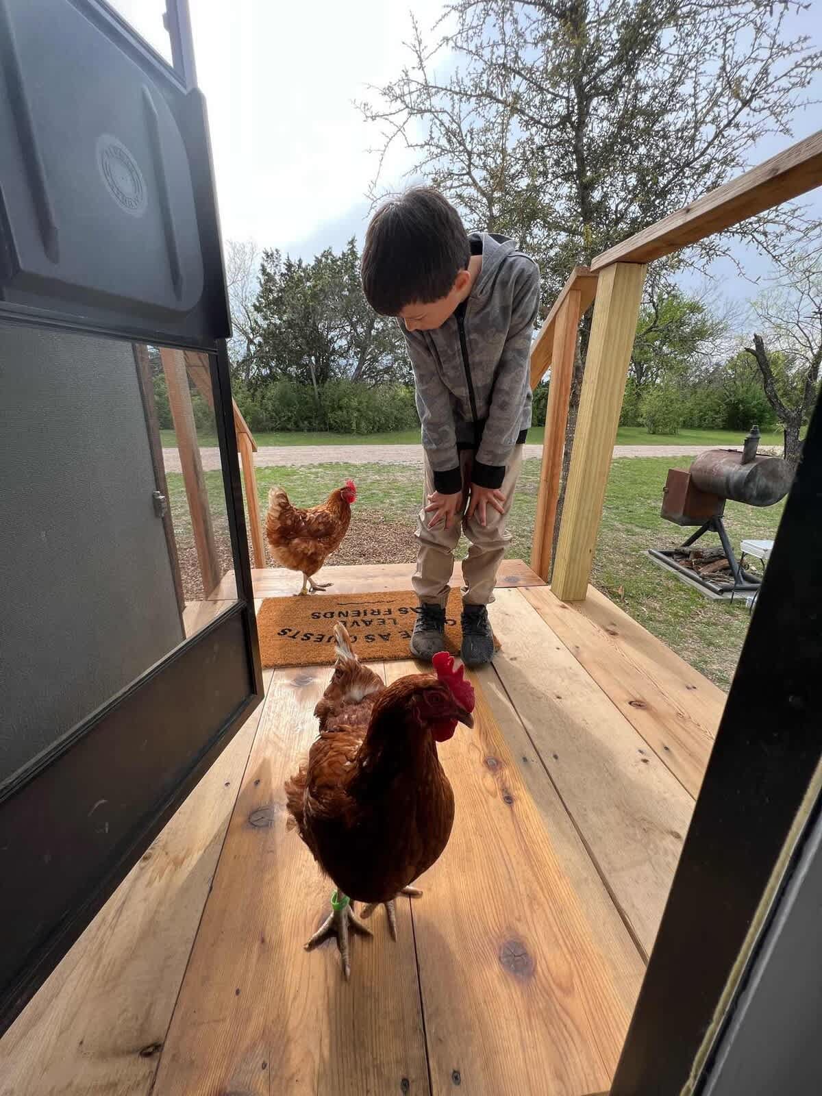 Feathered girls greeting new guests at the RV steps