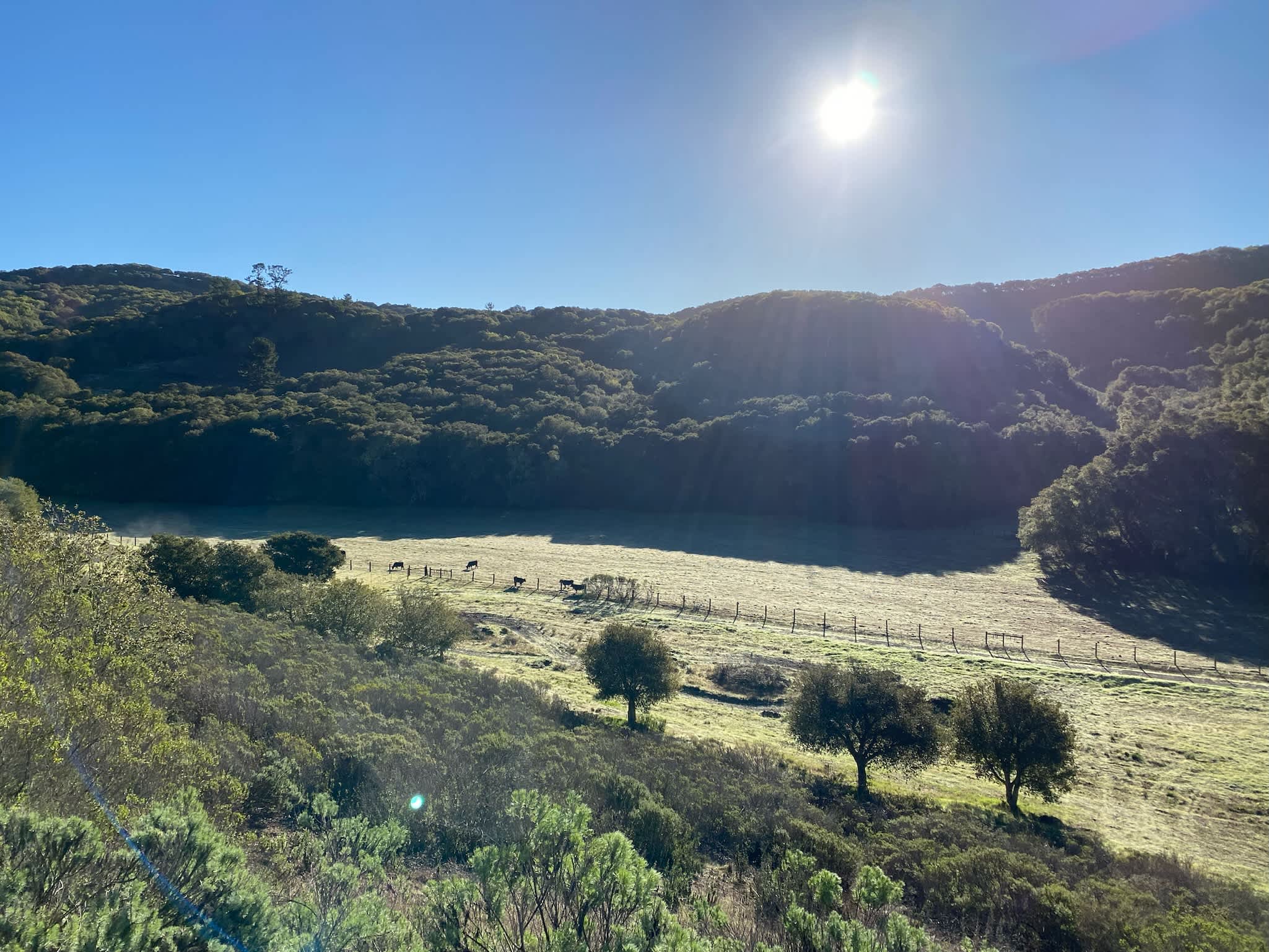 Buckeye Canyon