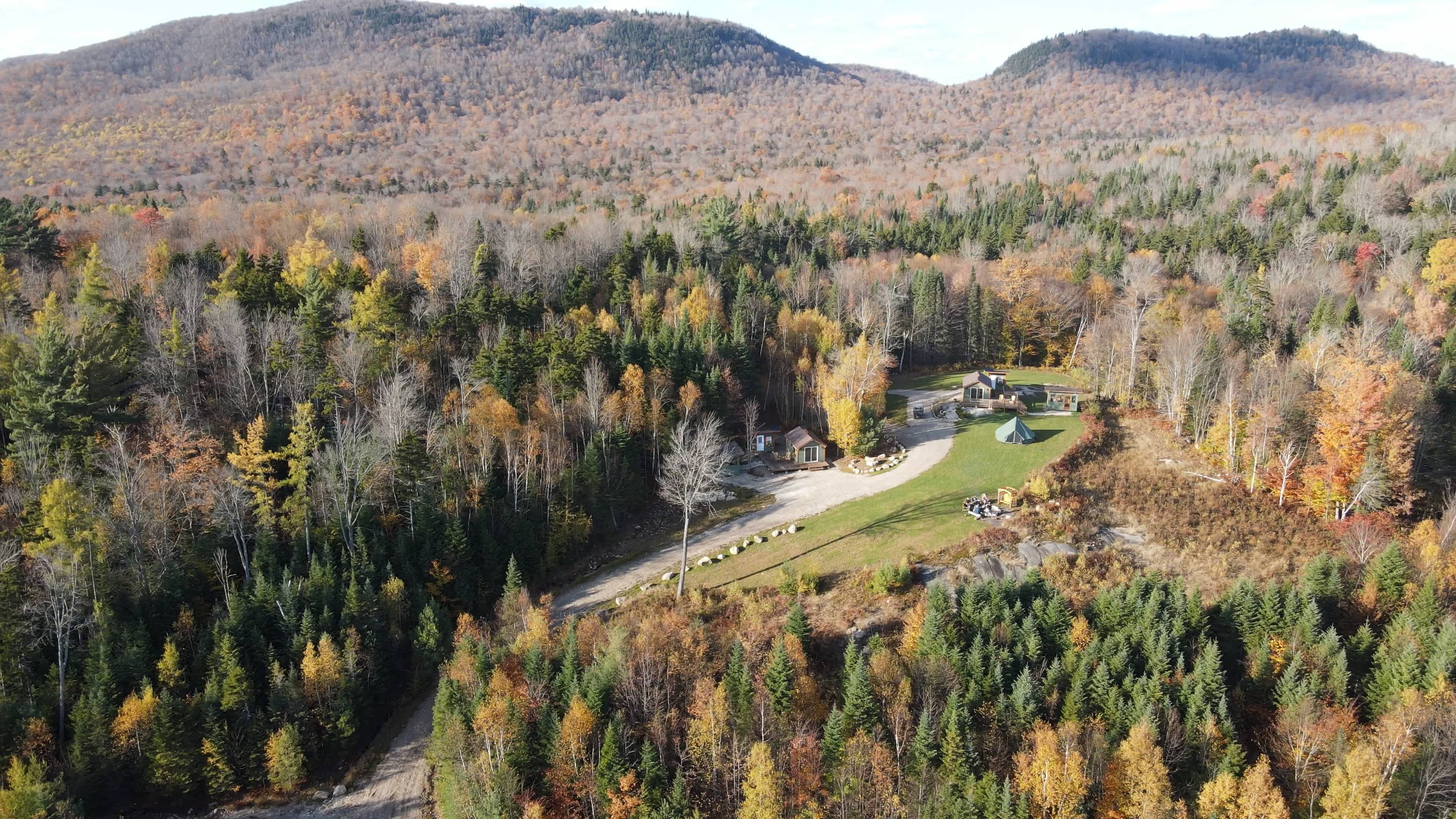 Ellea Pine Camps