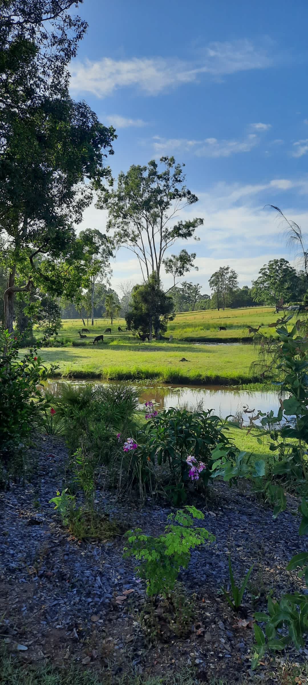 Macallon Farm Stay