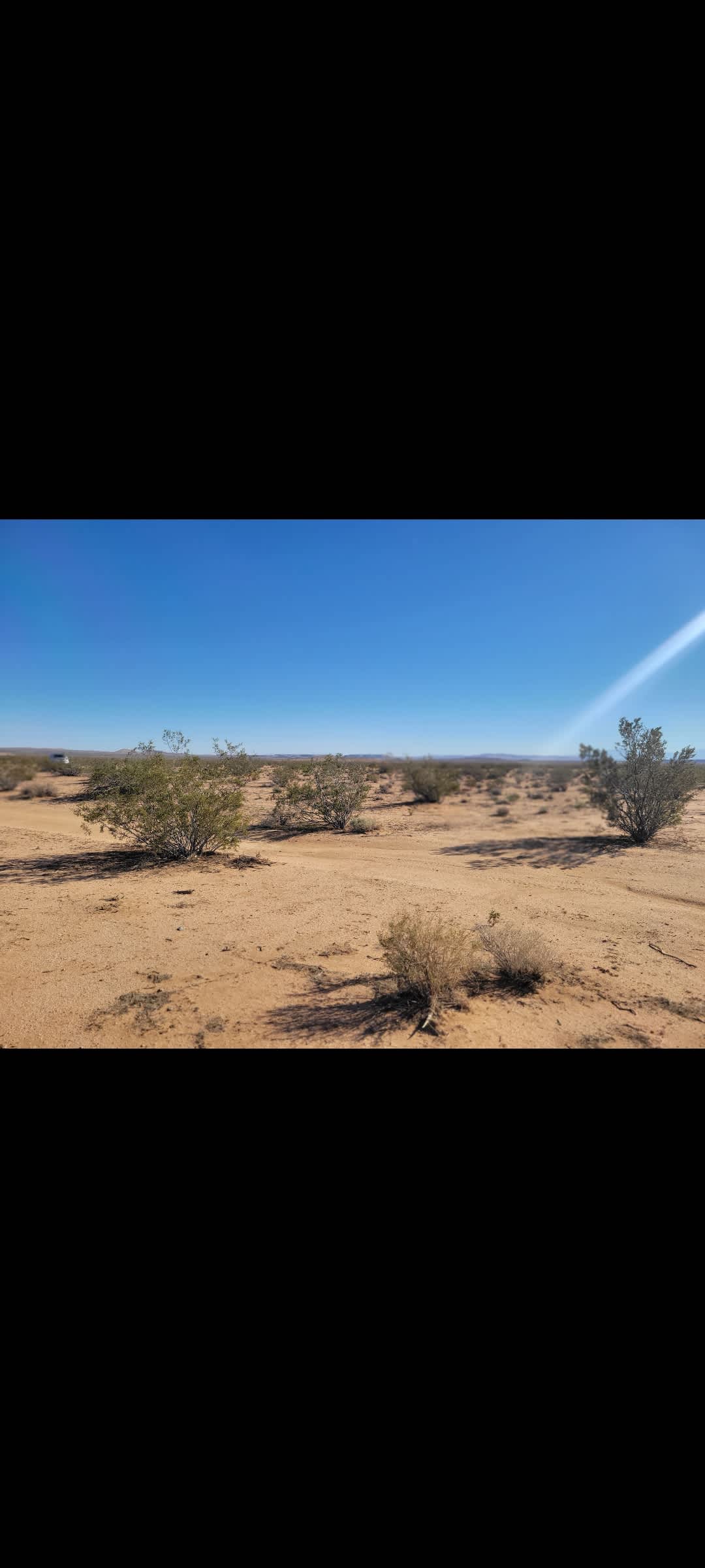 Desert Stargazers Dream