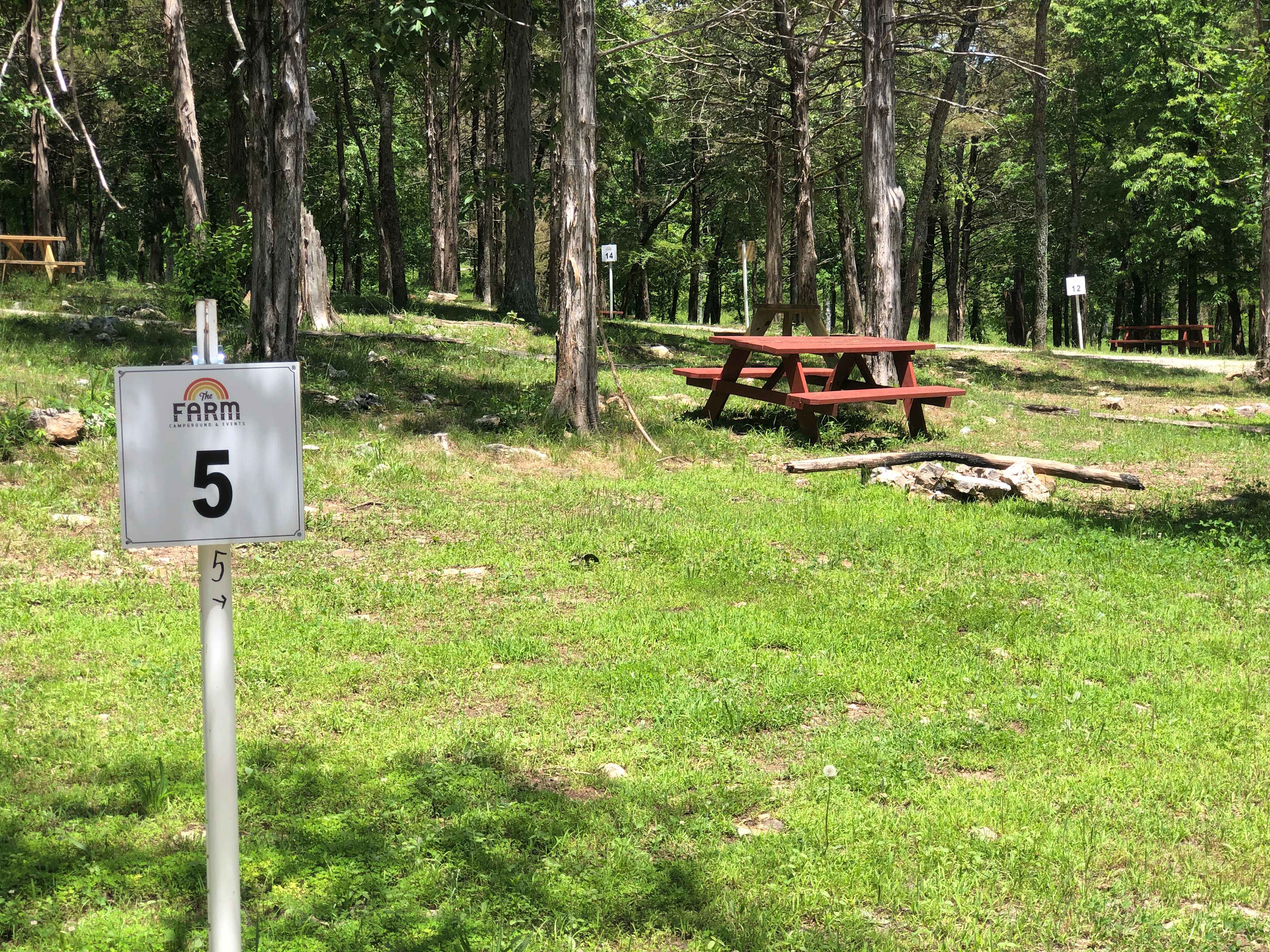 Picture of the site