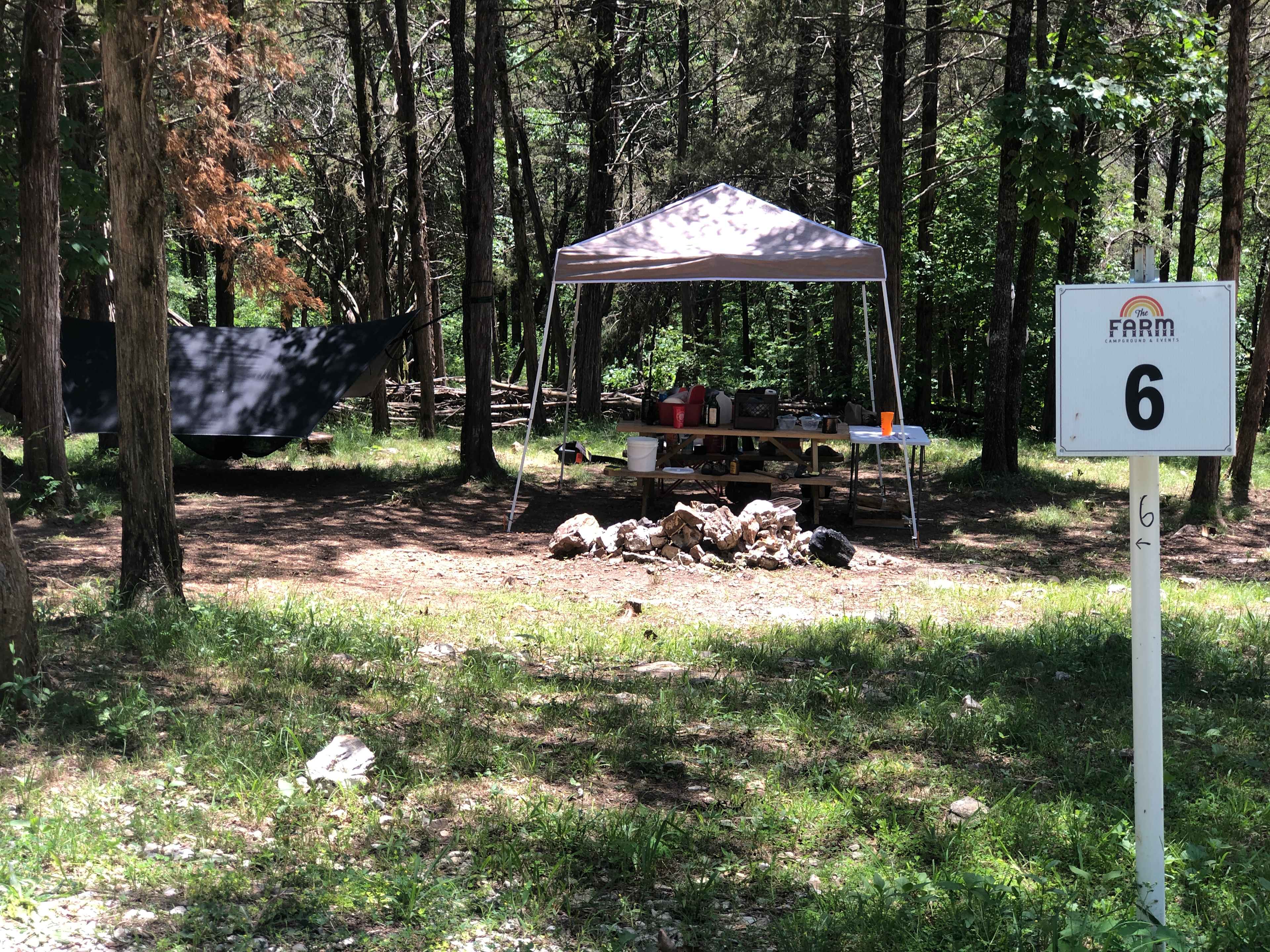 Picture of the site