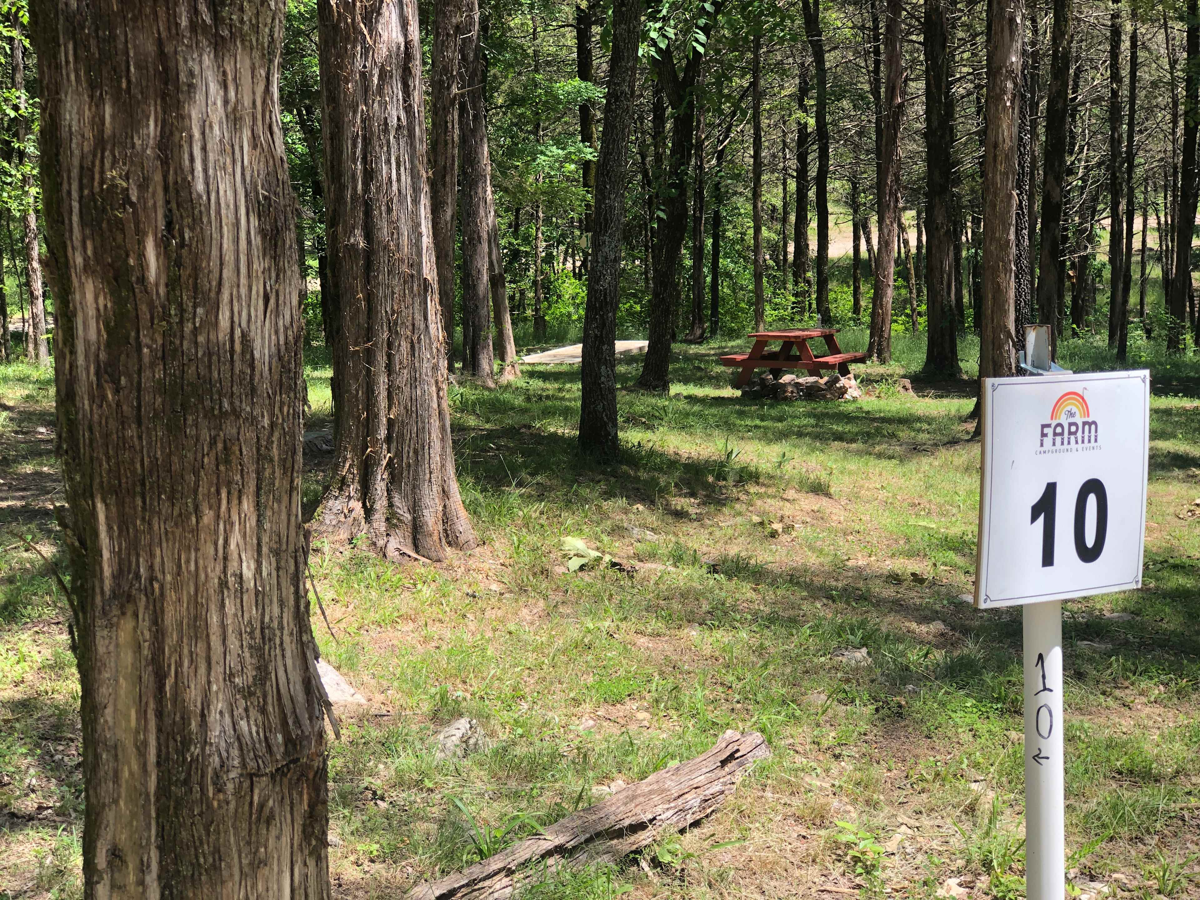 Picture of the site