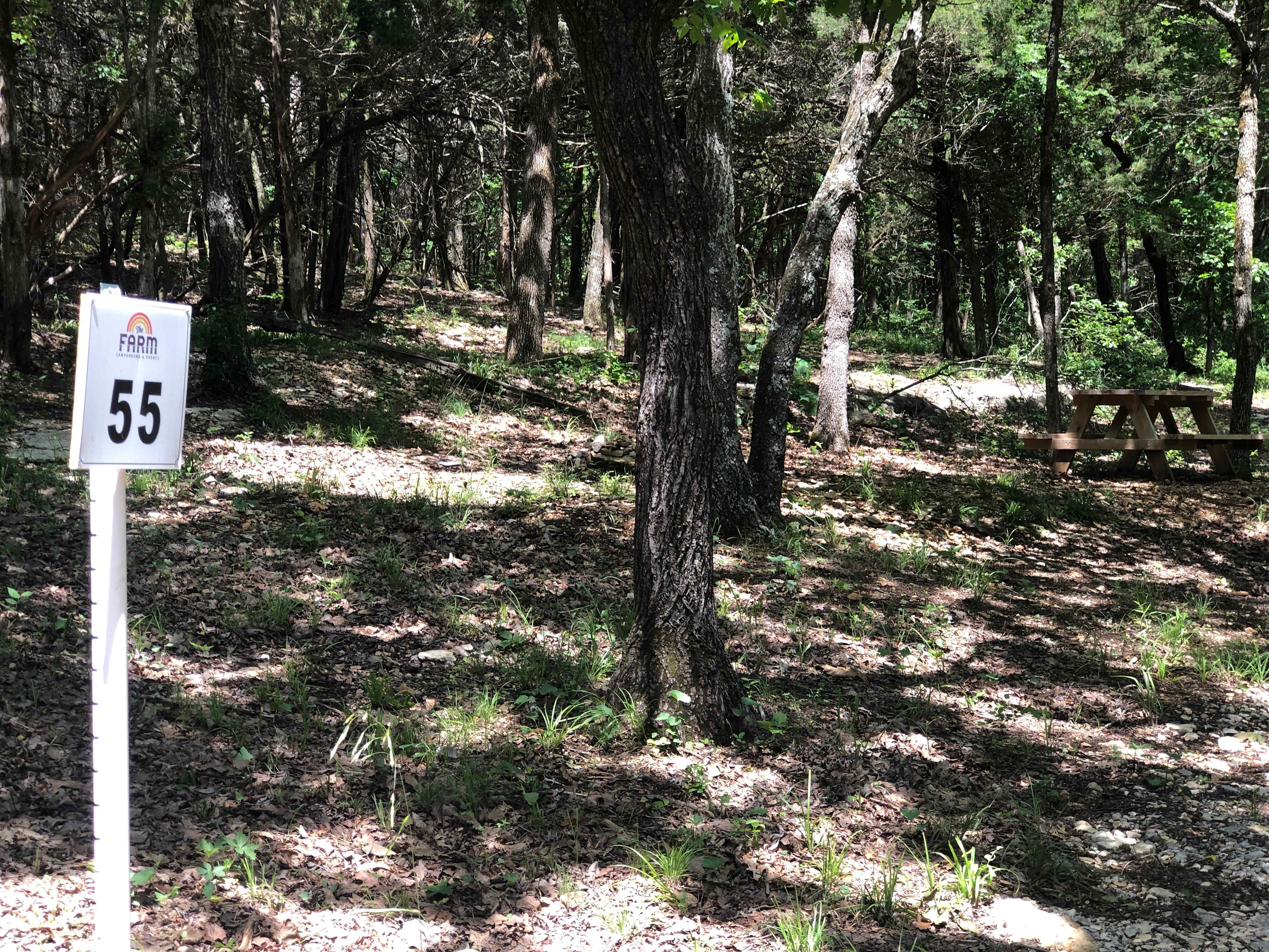 Picture of the site