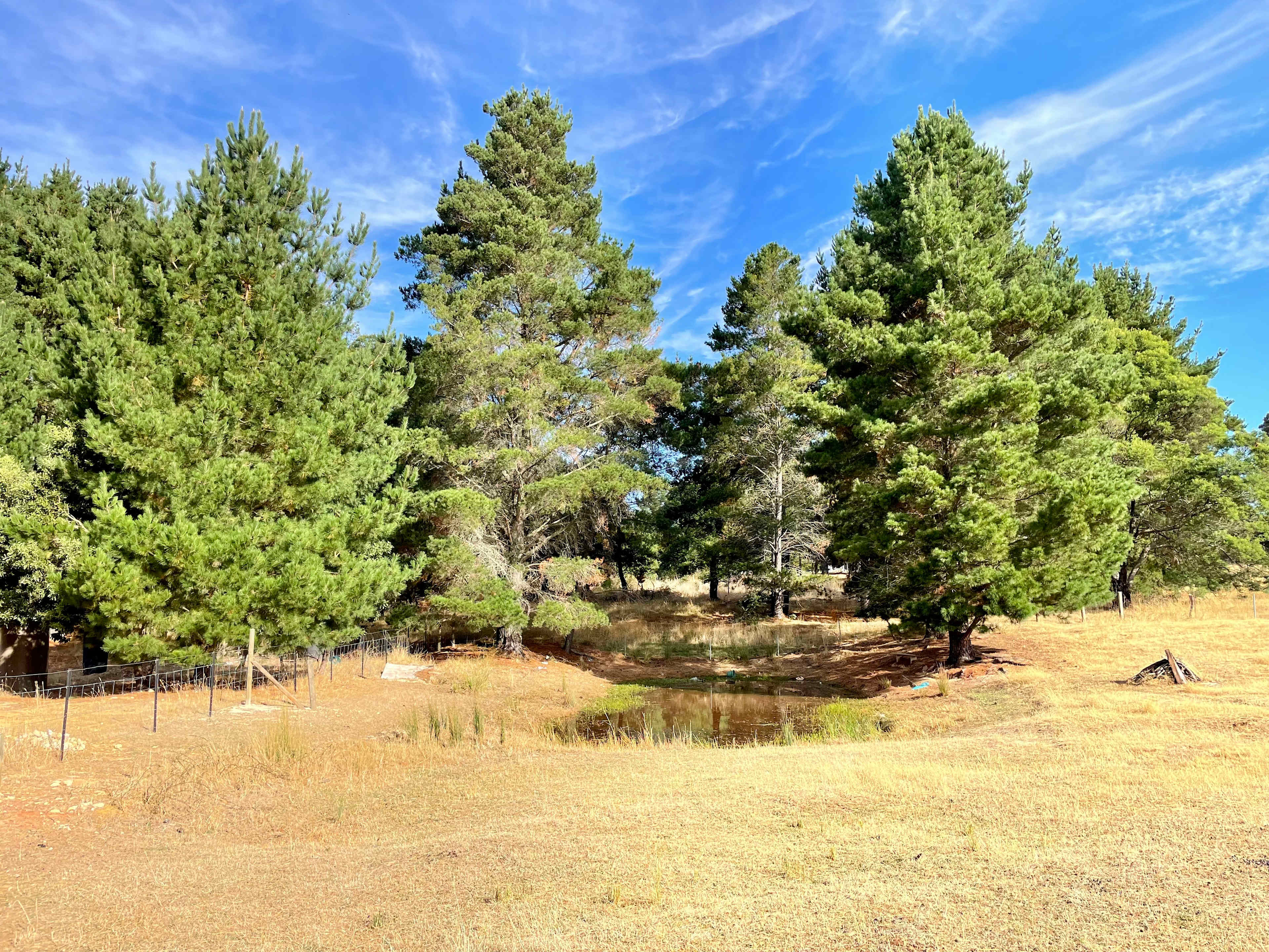 Small dam - nice shady area to sit under and relax near the dam. 