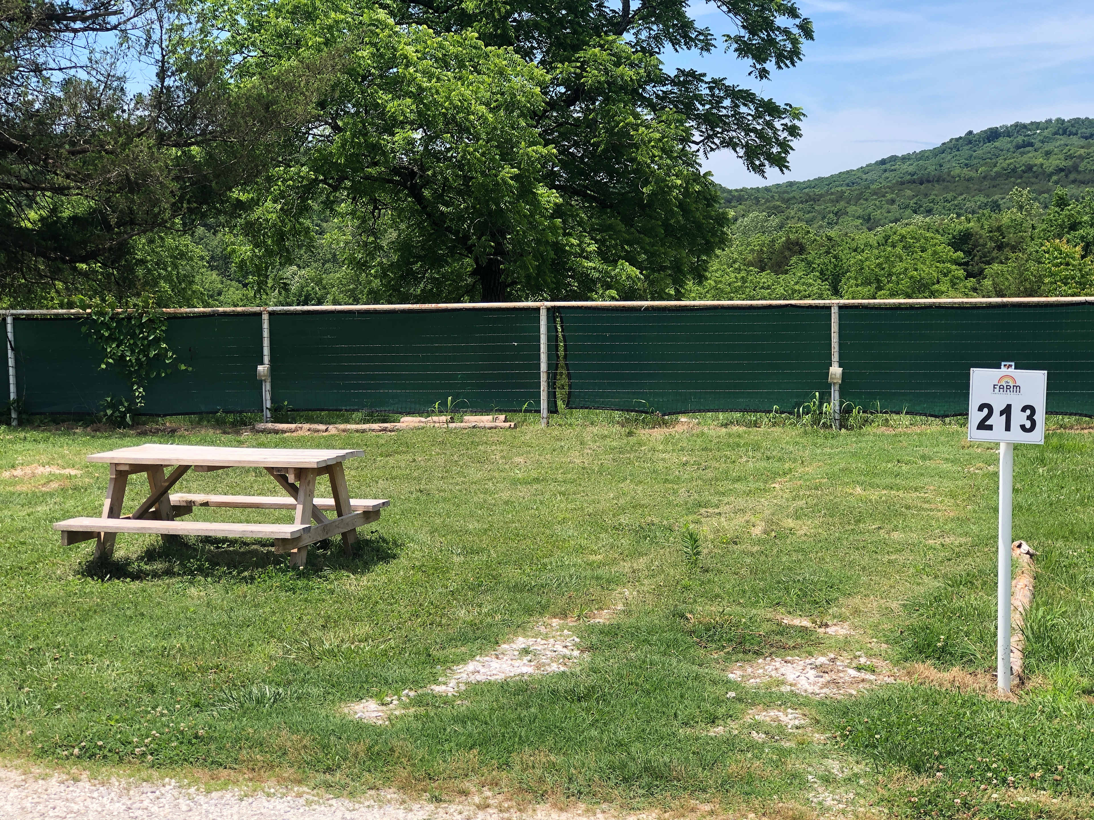 Picture of the site