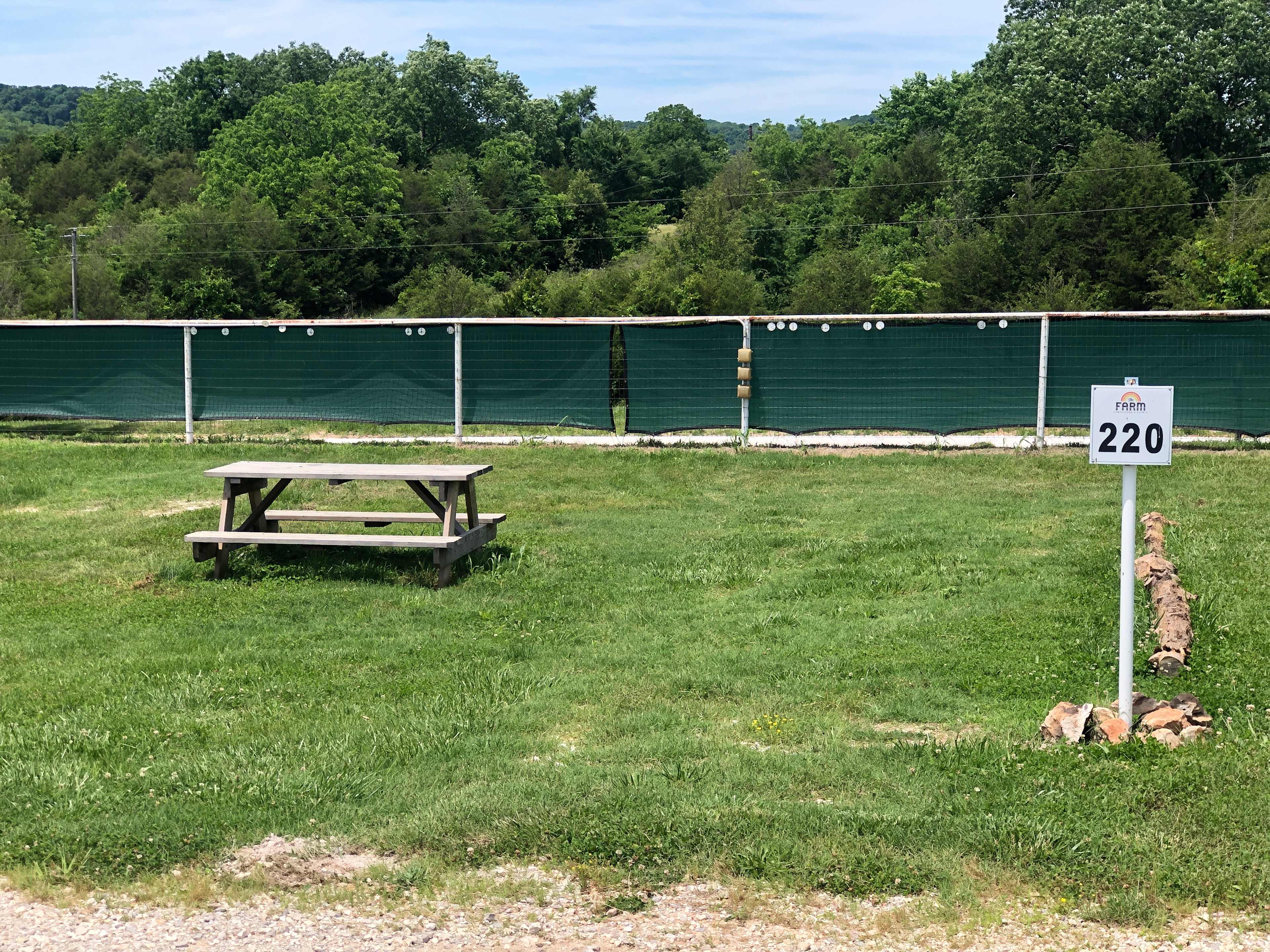 Picture of the site