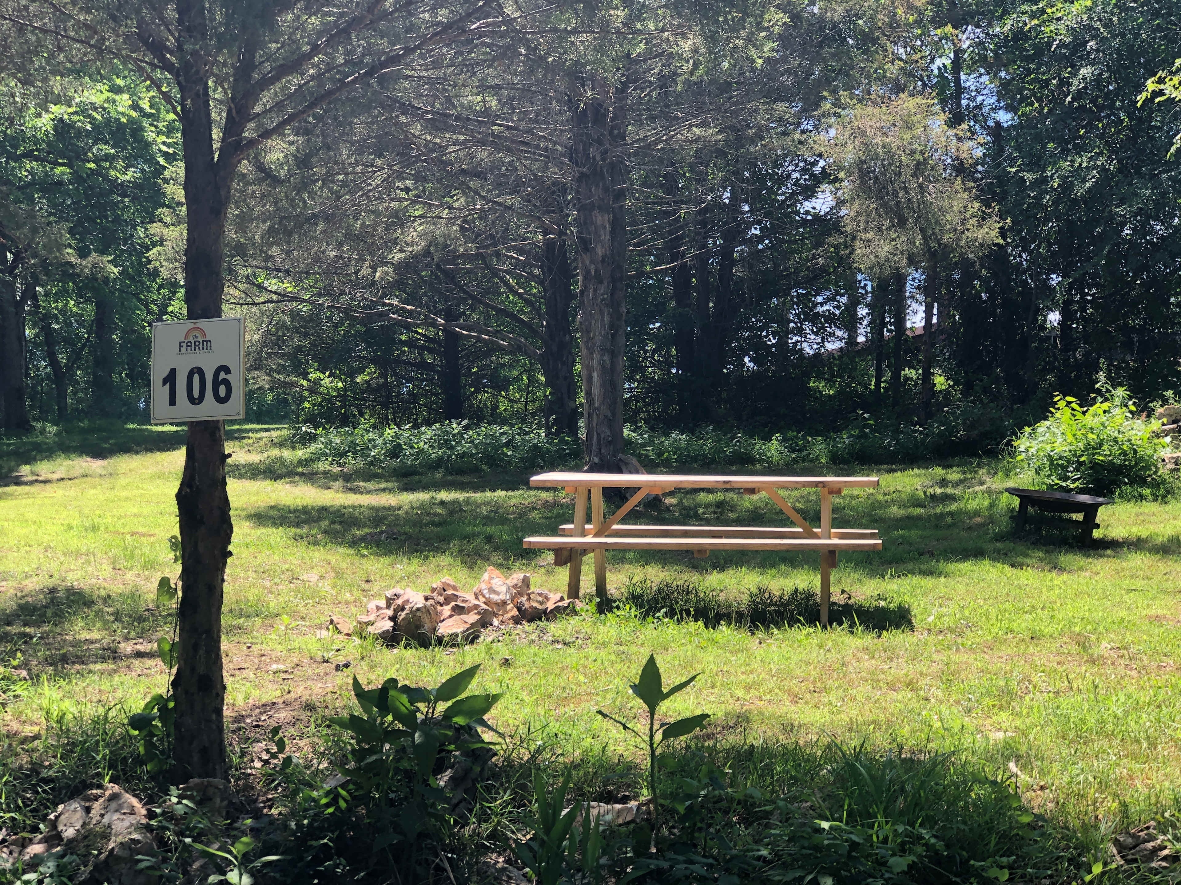 Picture of the site