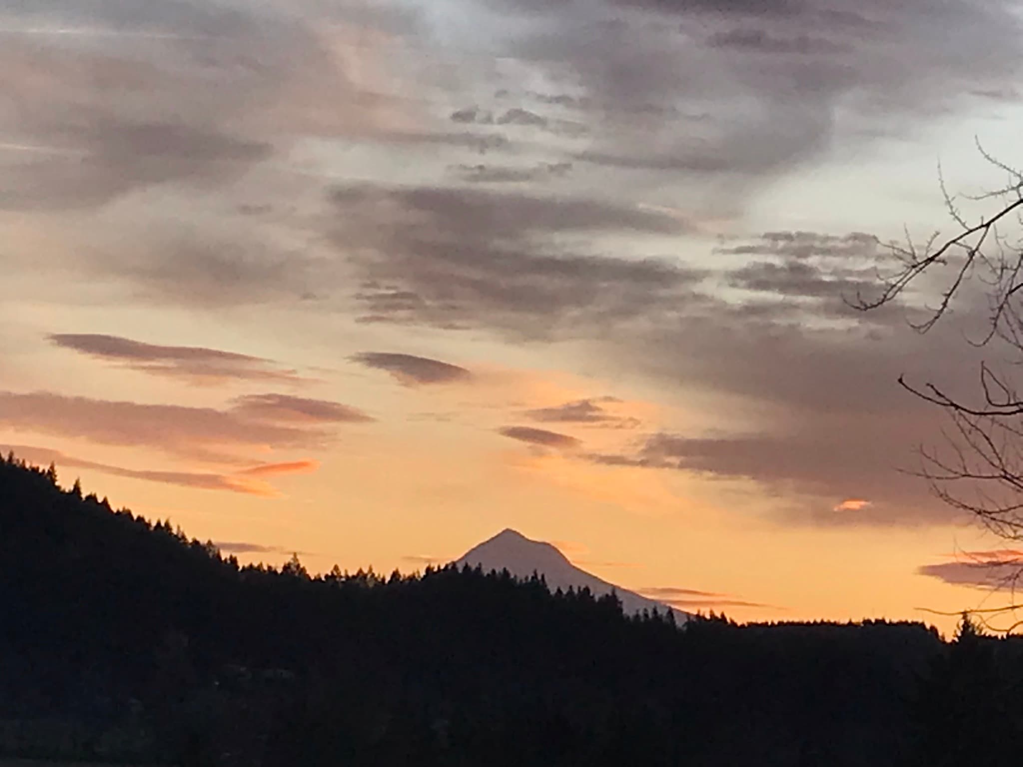 Mt Hood