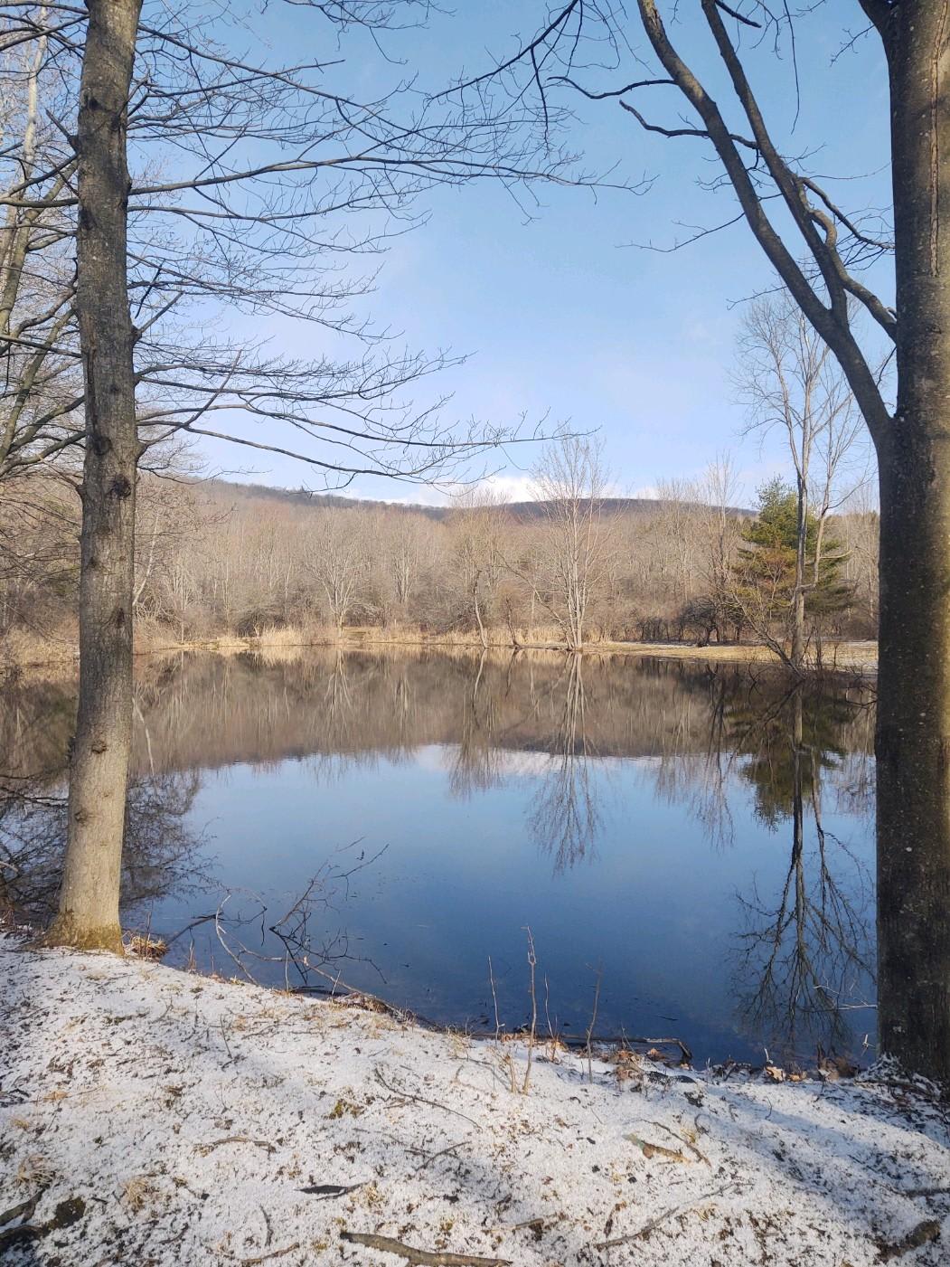 The still, spring-fed waters of Plum Good Pond.