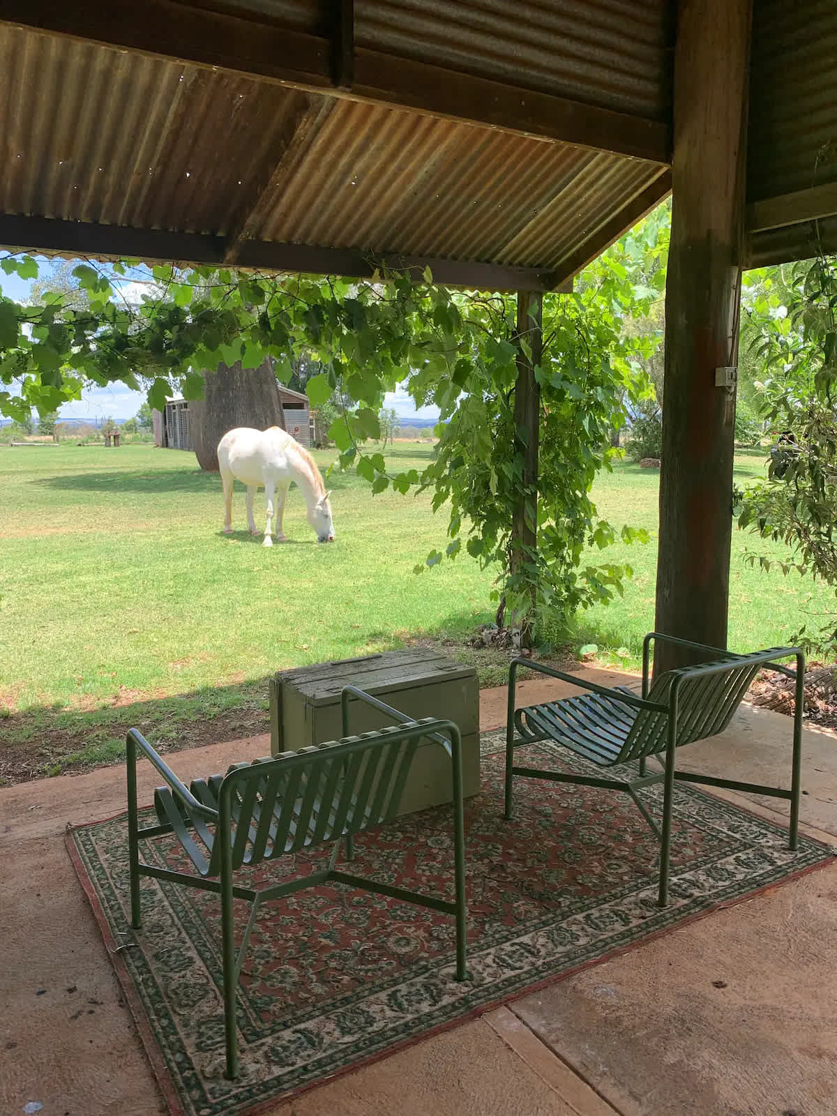 Bottle Tree Farm Studio and Camping