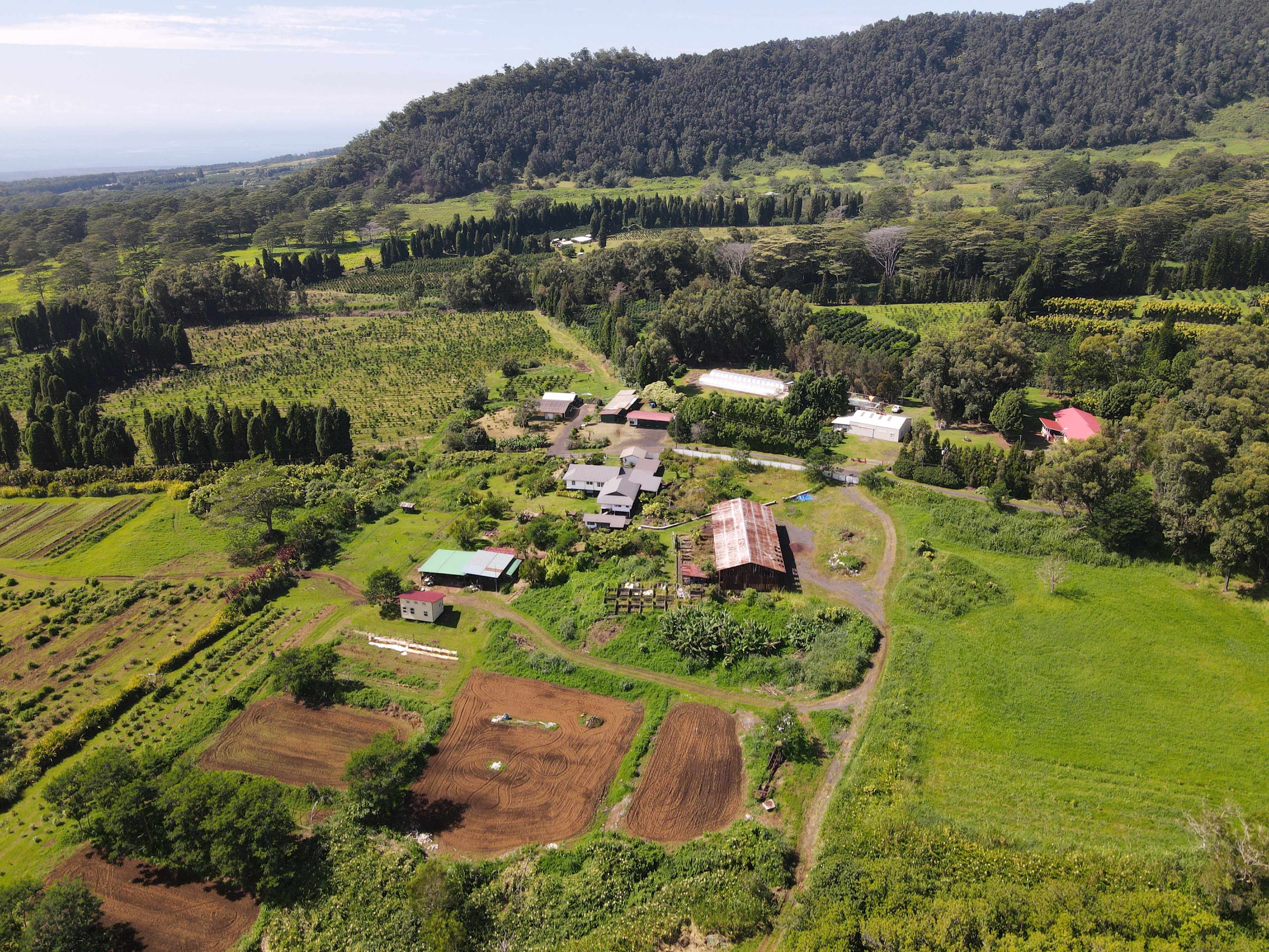 Farm life at Ancient Valley Growers