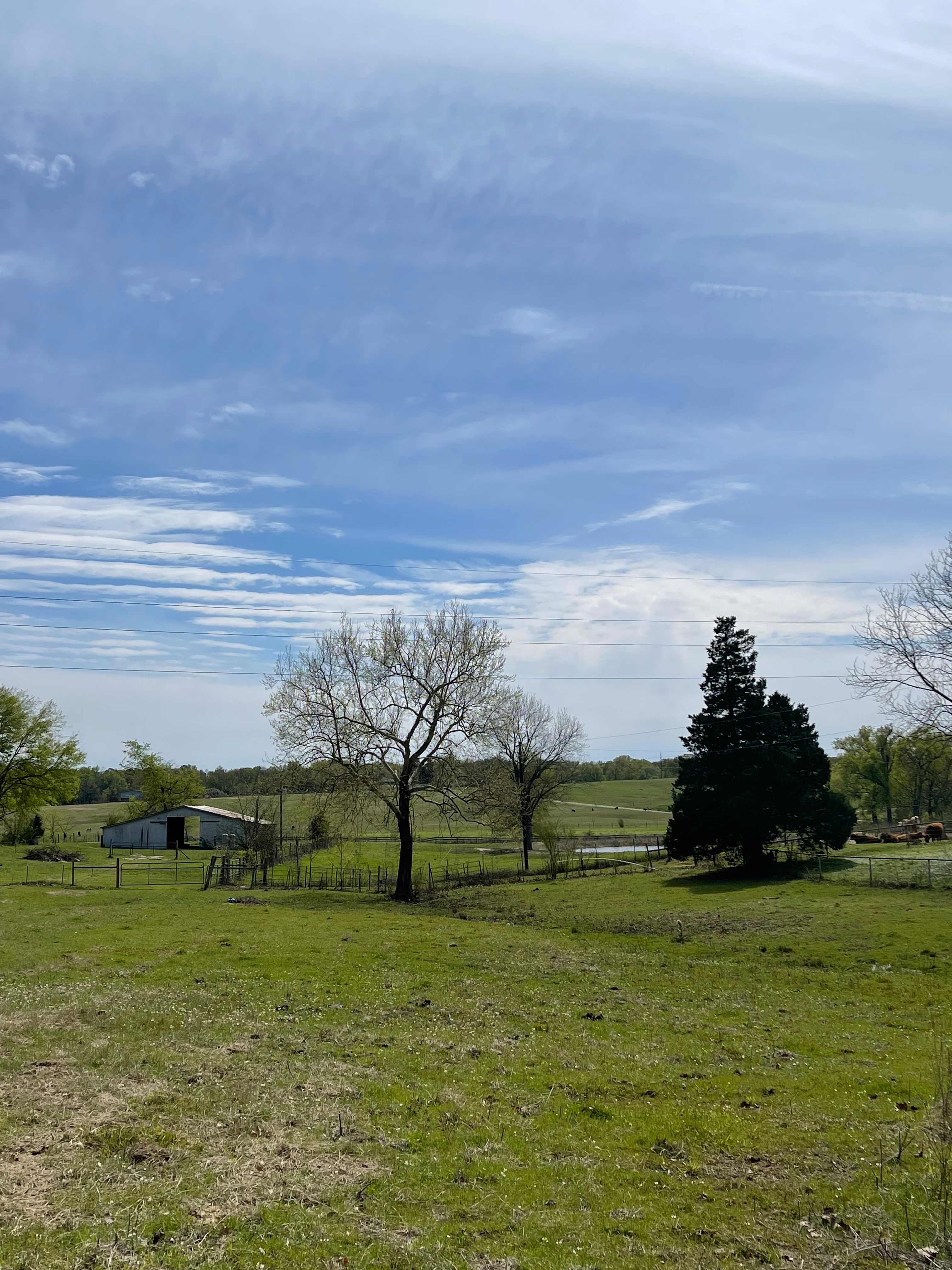 News Ranch