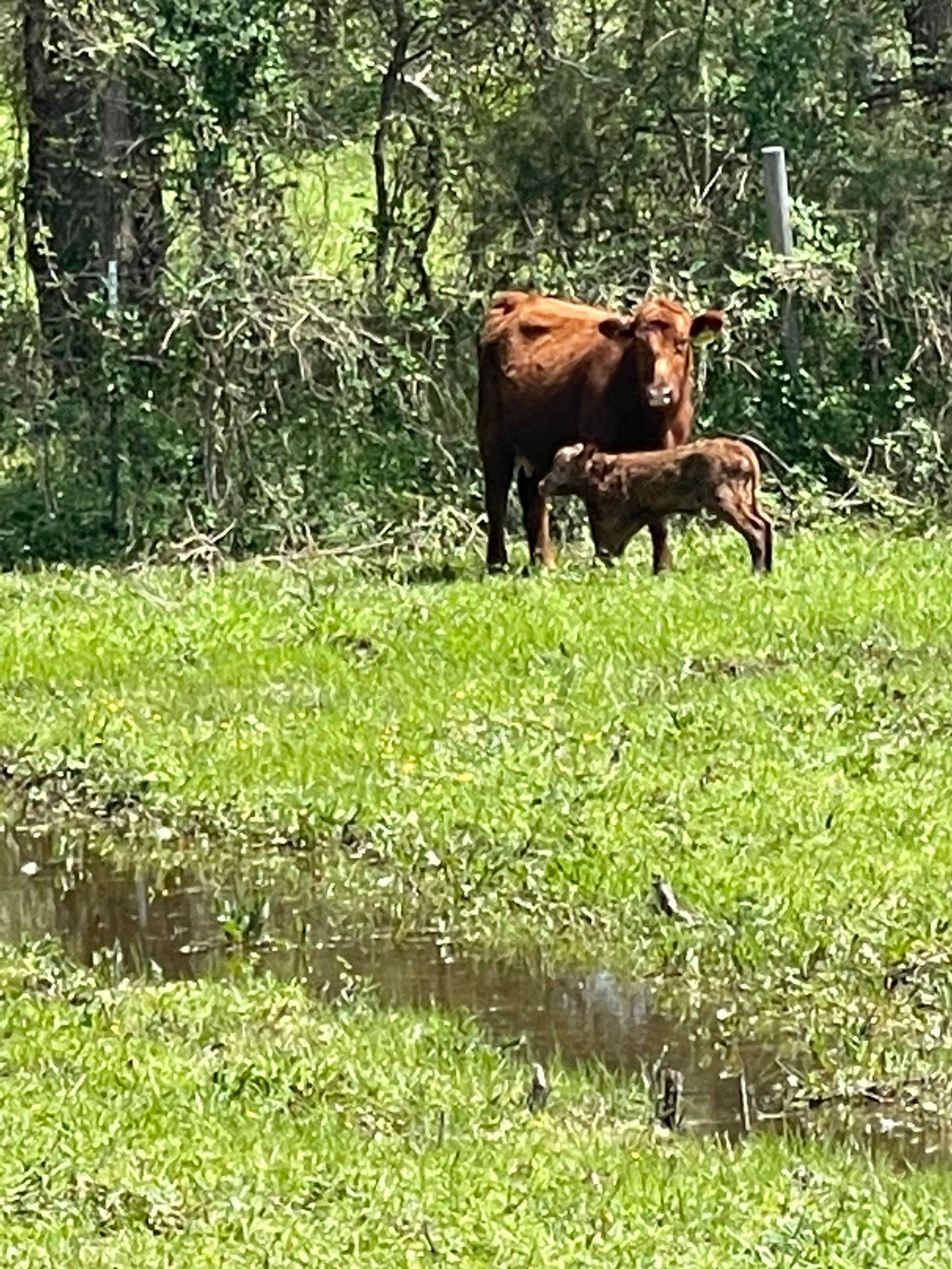 News Ranch