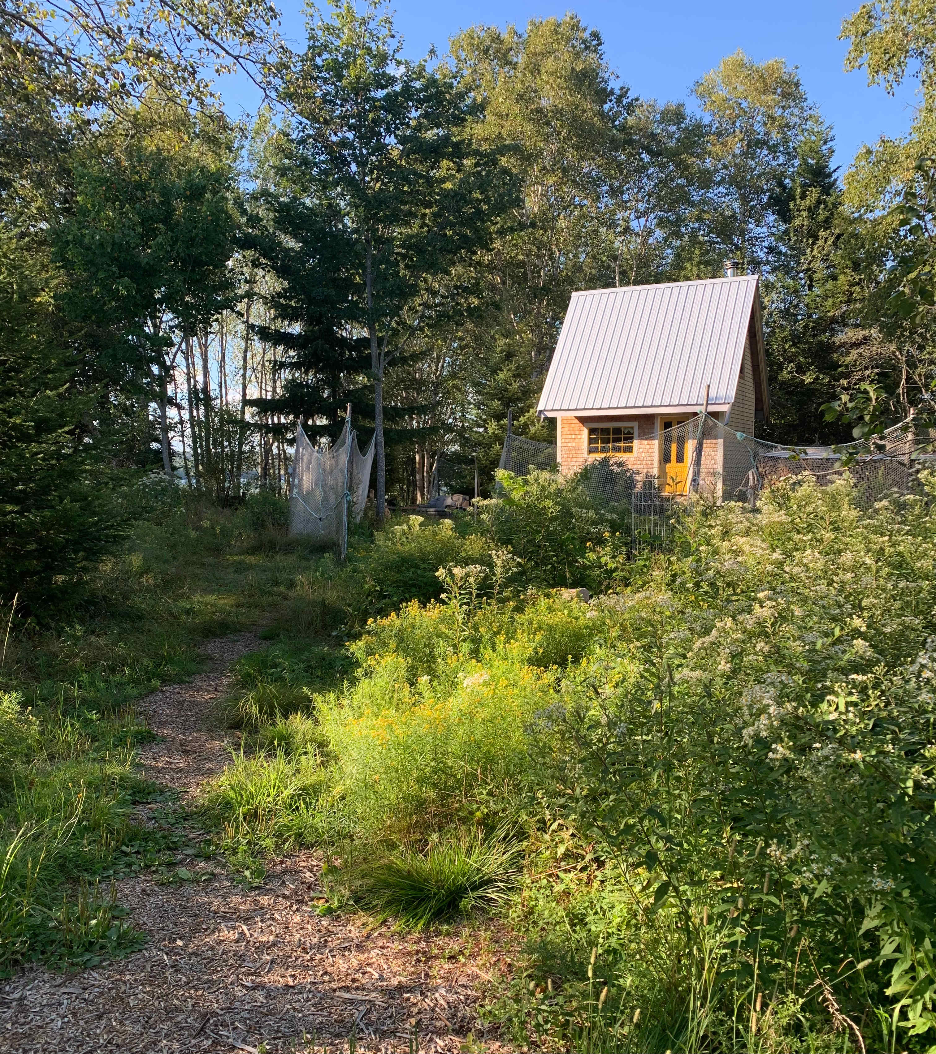 Birch Point Farm
