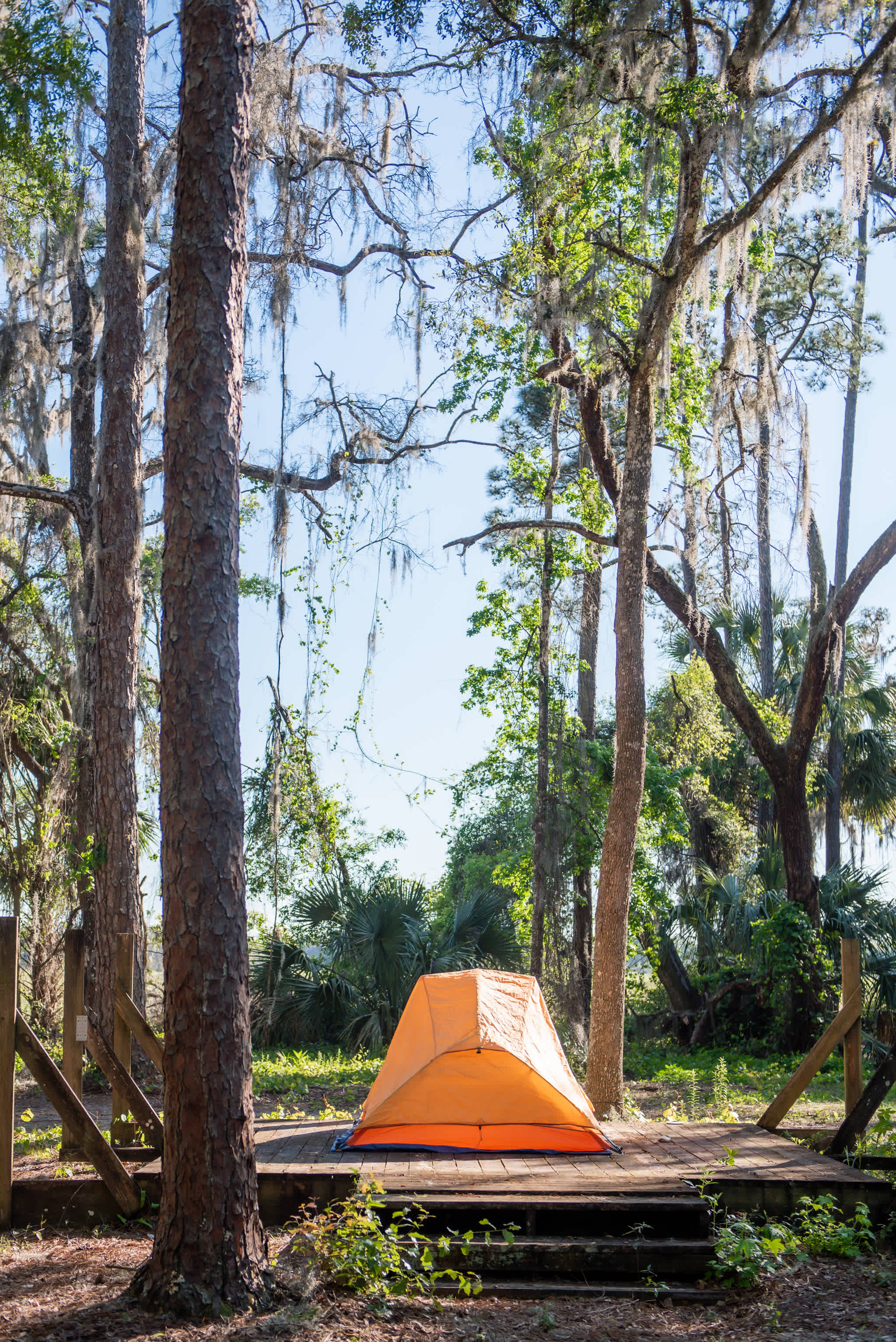tent views