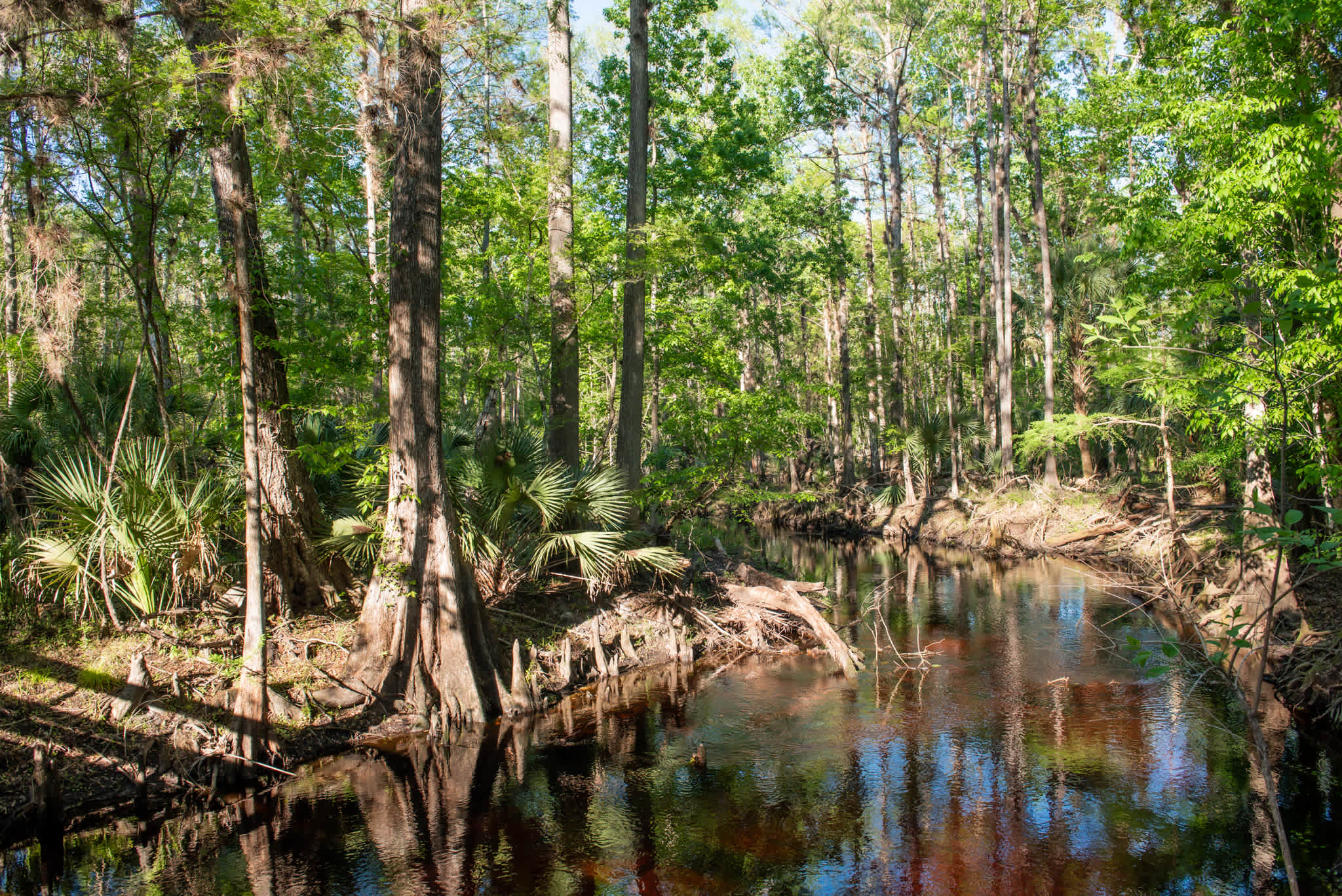 You can kayak or canoe on the river on the property