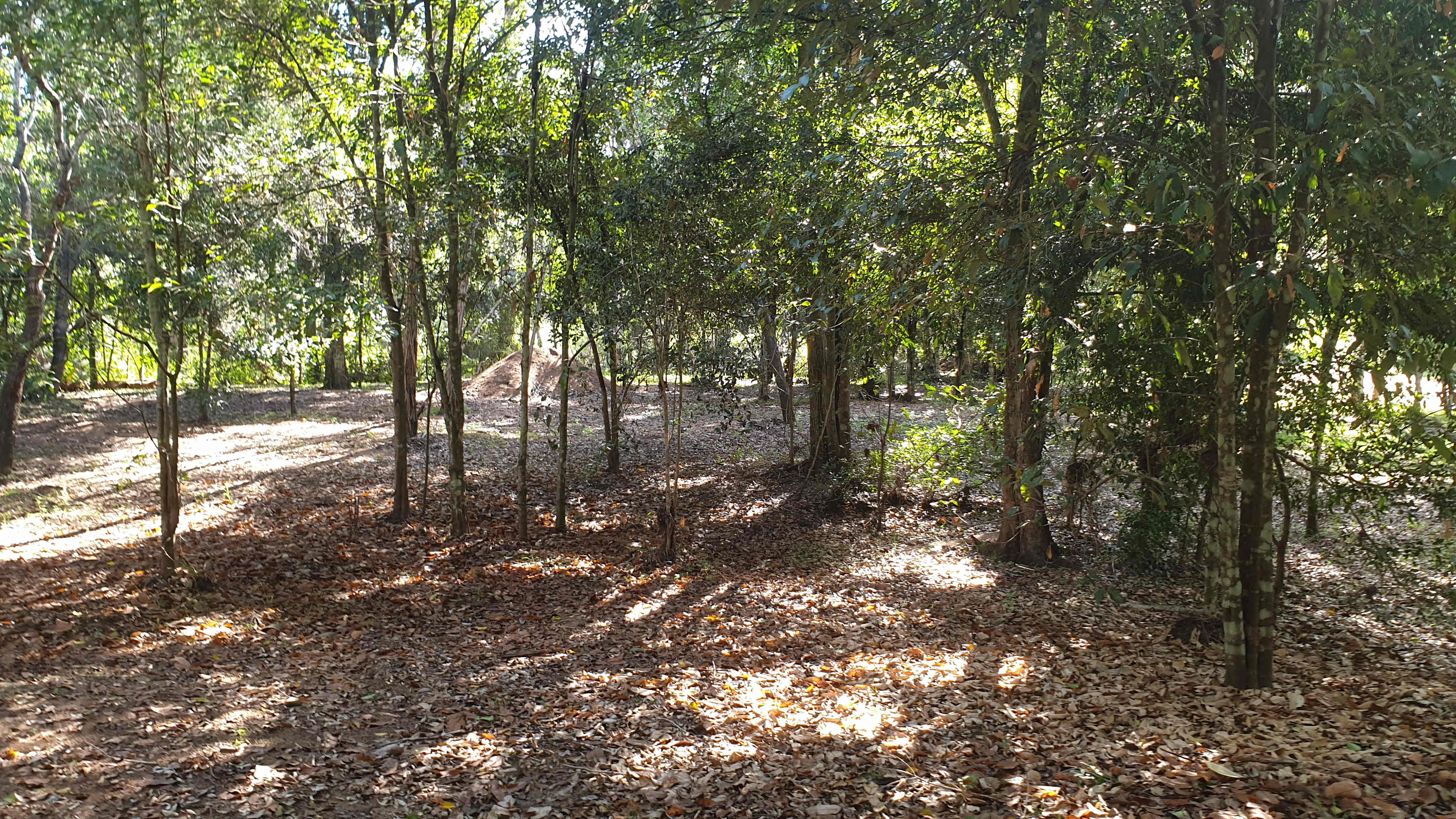 Wonmoti's Haven