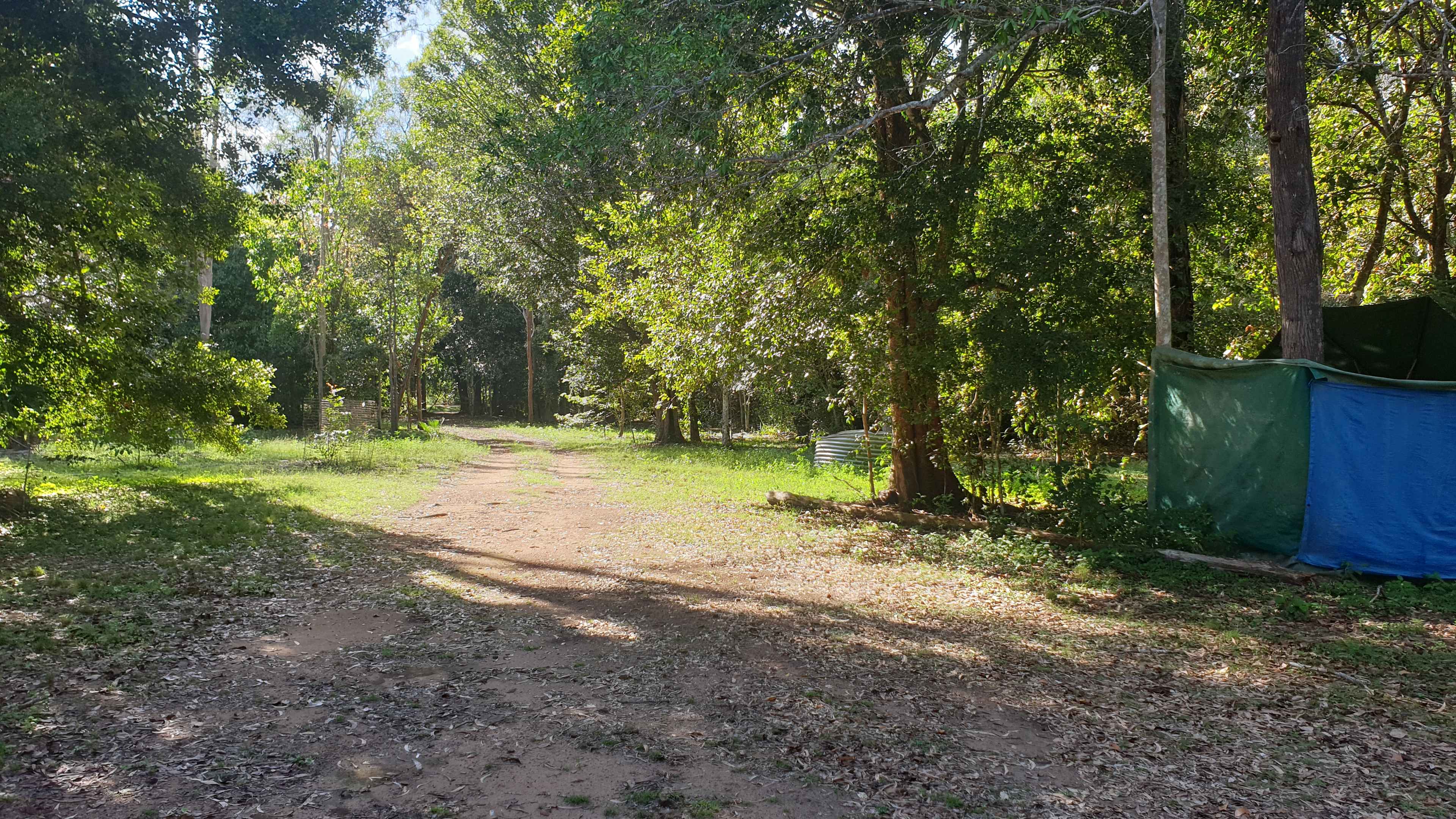 Wonmoti's Haven