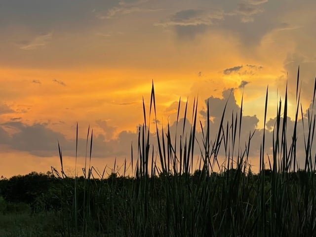 Saint Lucie Farm Preserve