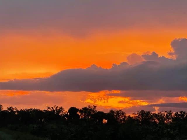 Saint Lucie Farm Preserve