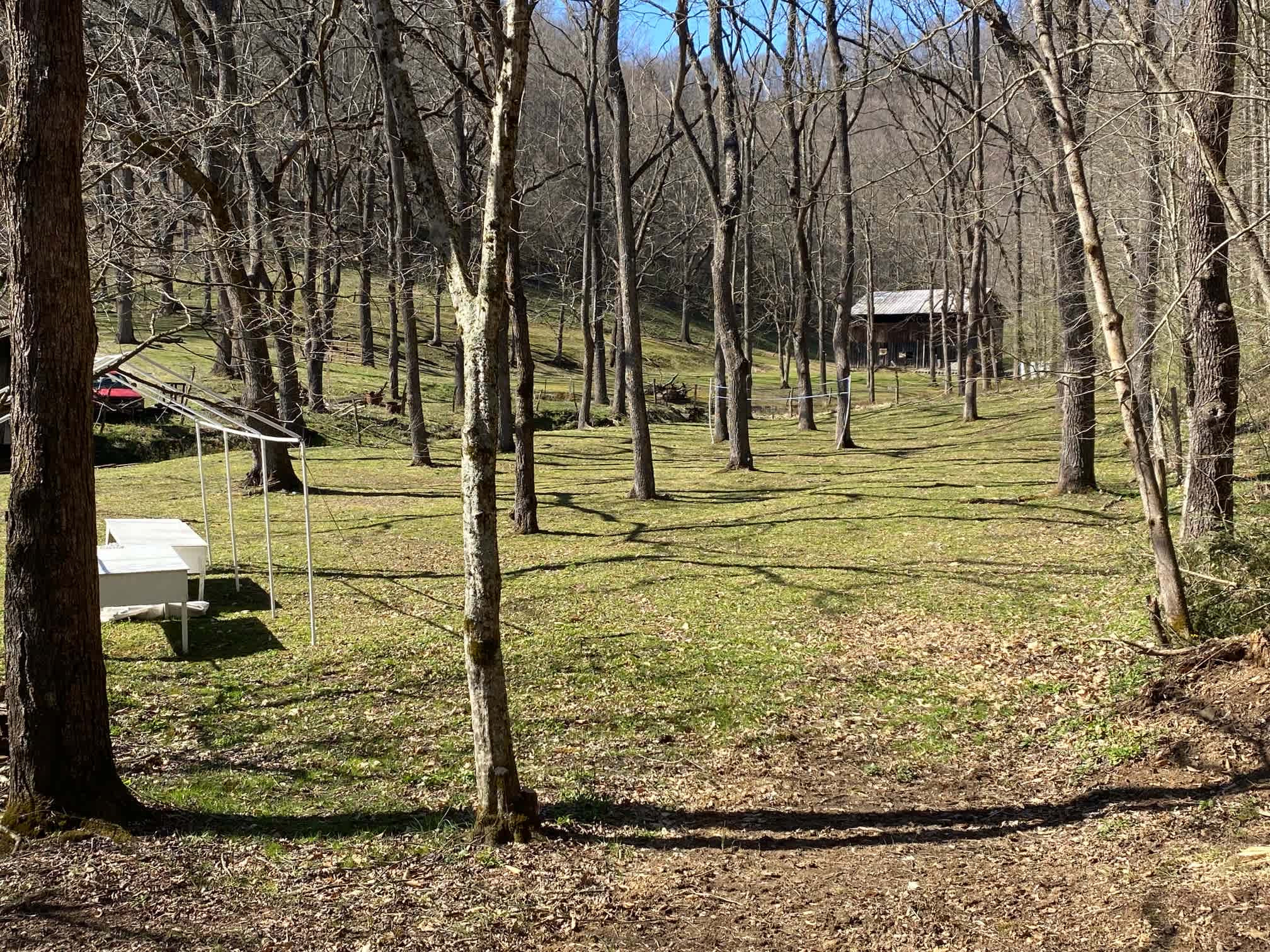 Picture of the site