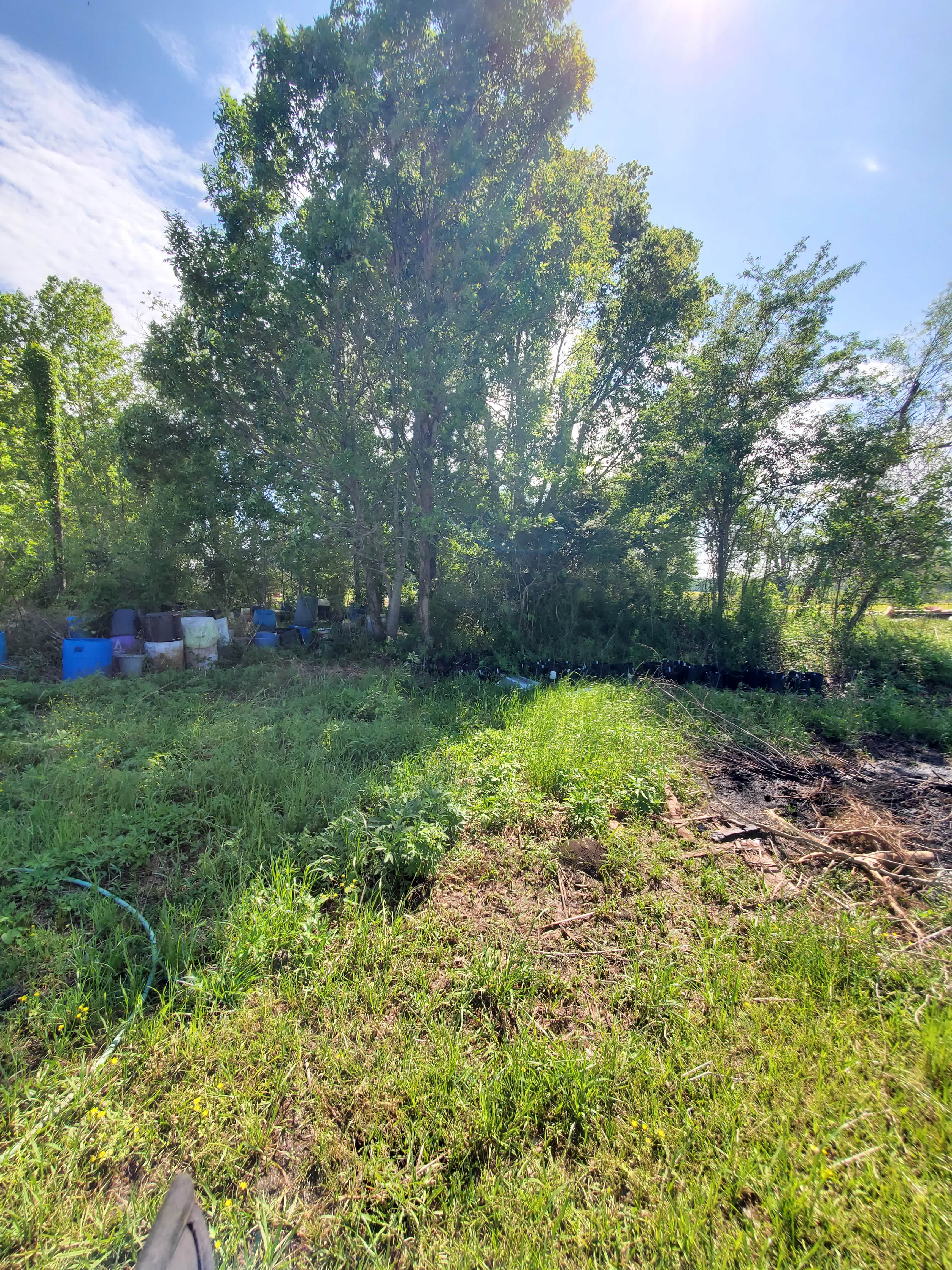 The Sanctuary Project