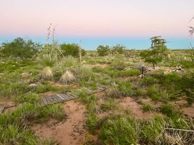36-Acre Private Texas Ranch