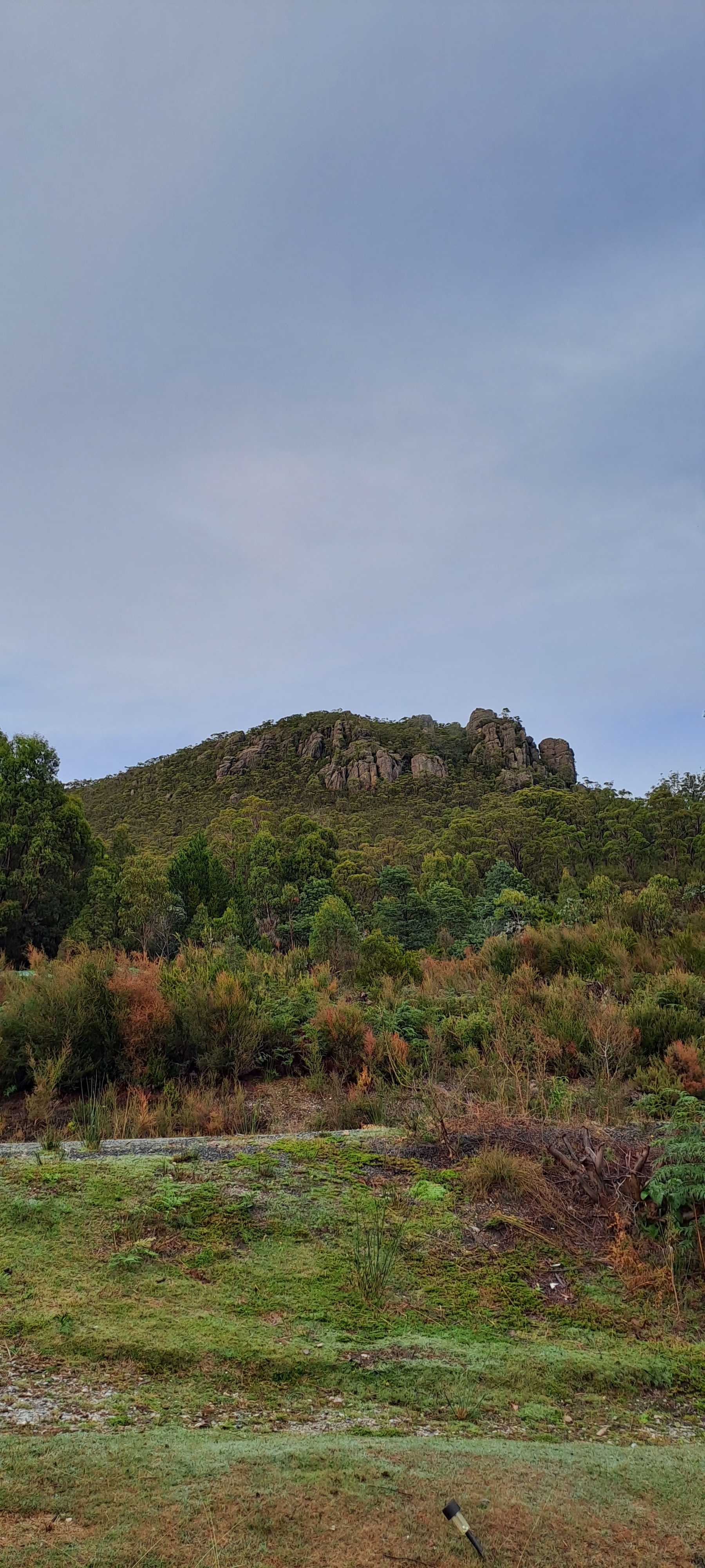View around