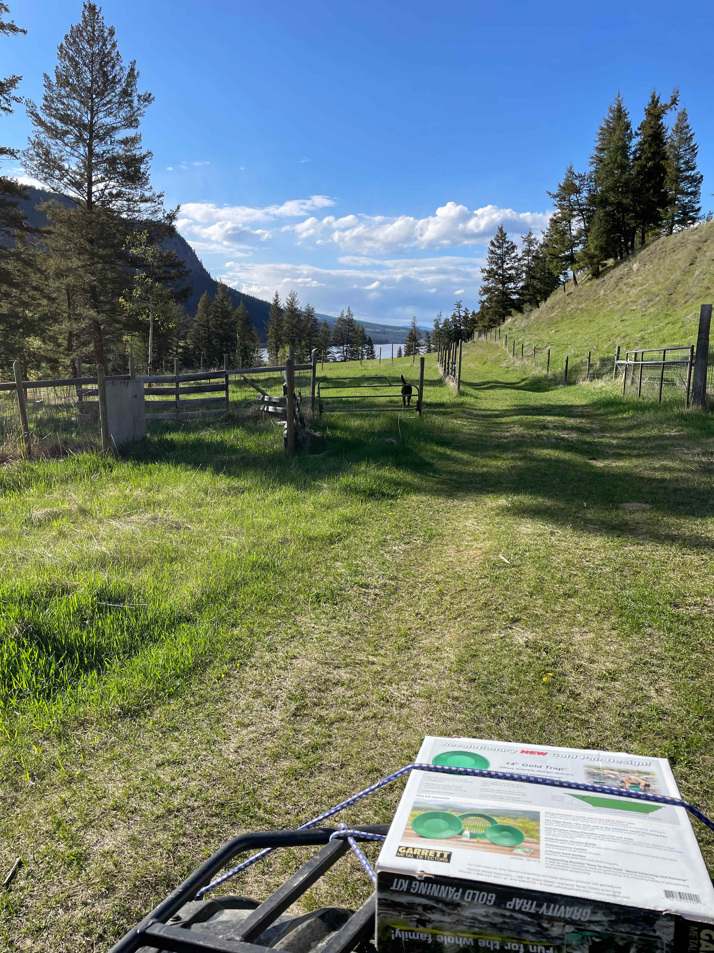Picture of the site