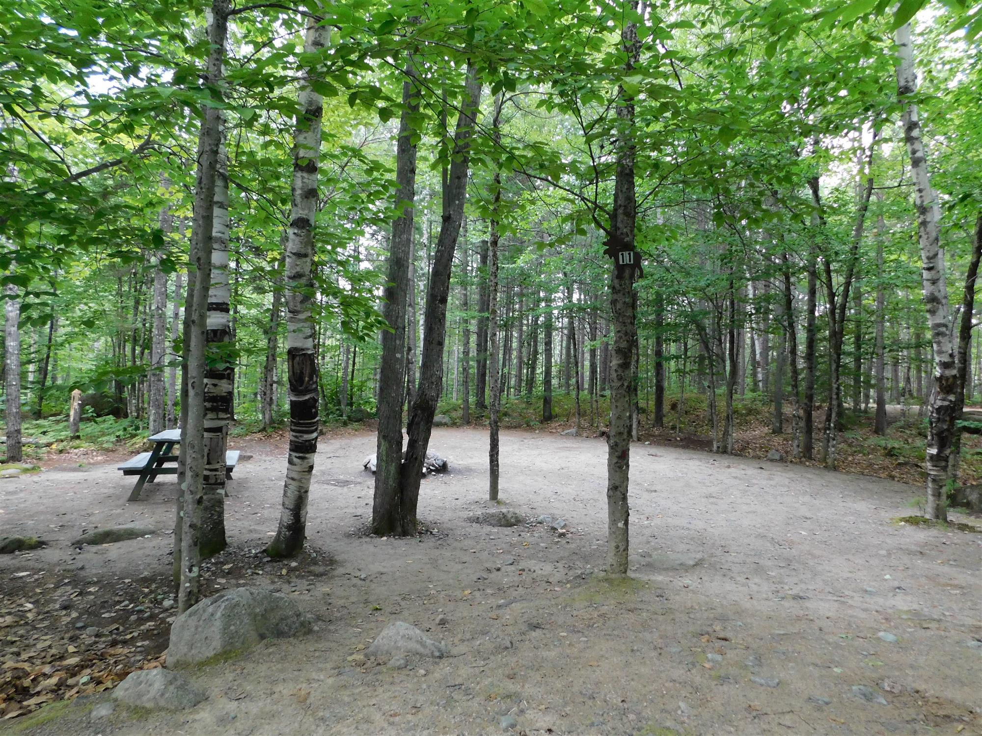 Picture of the site