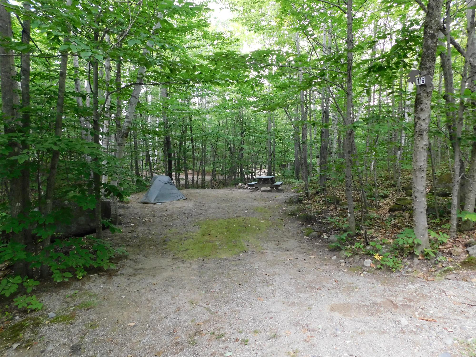 Picture of the site