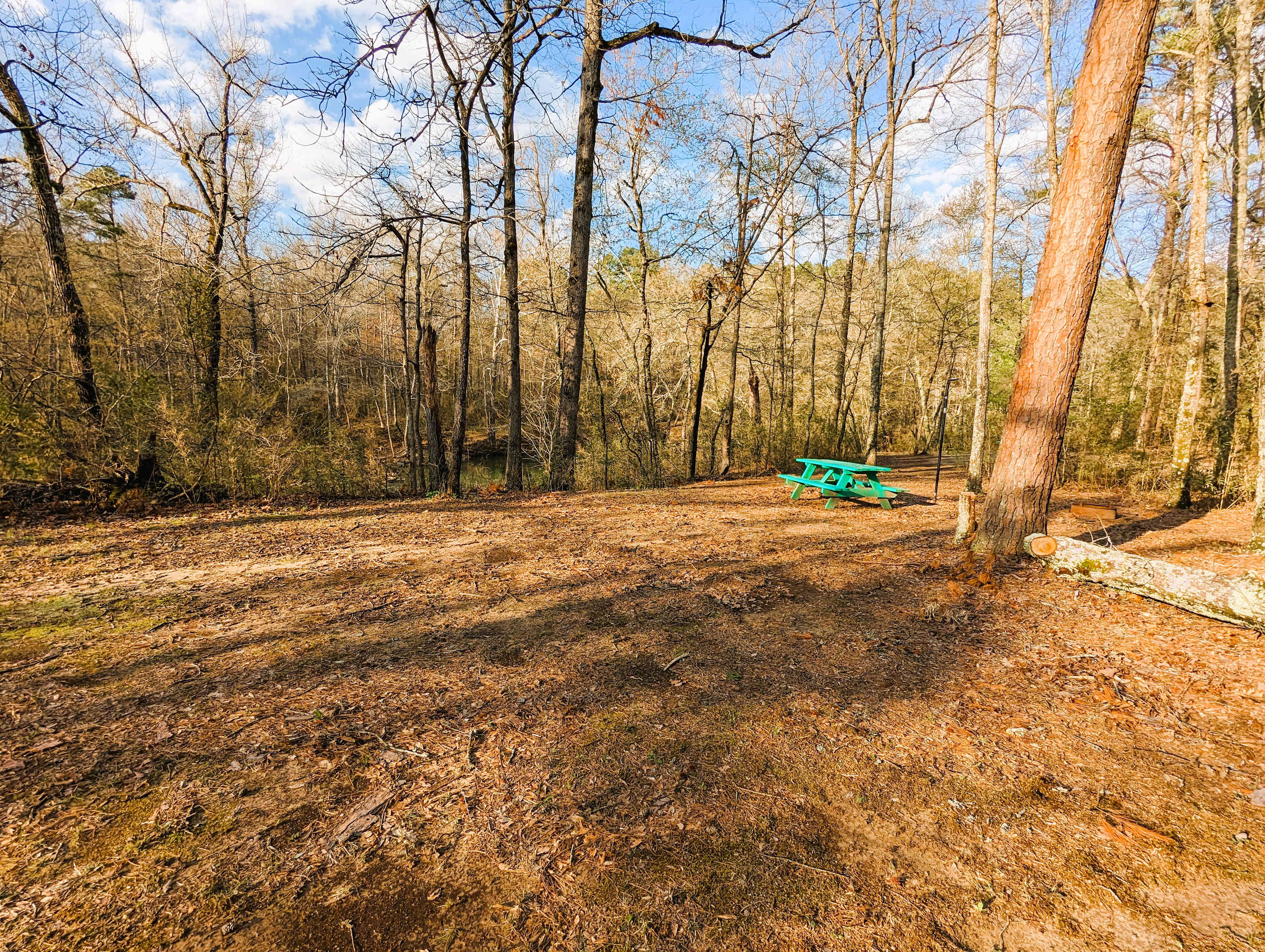 Picture of the site