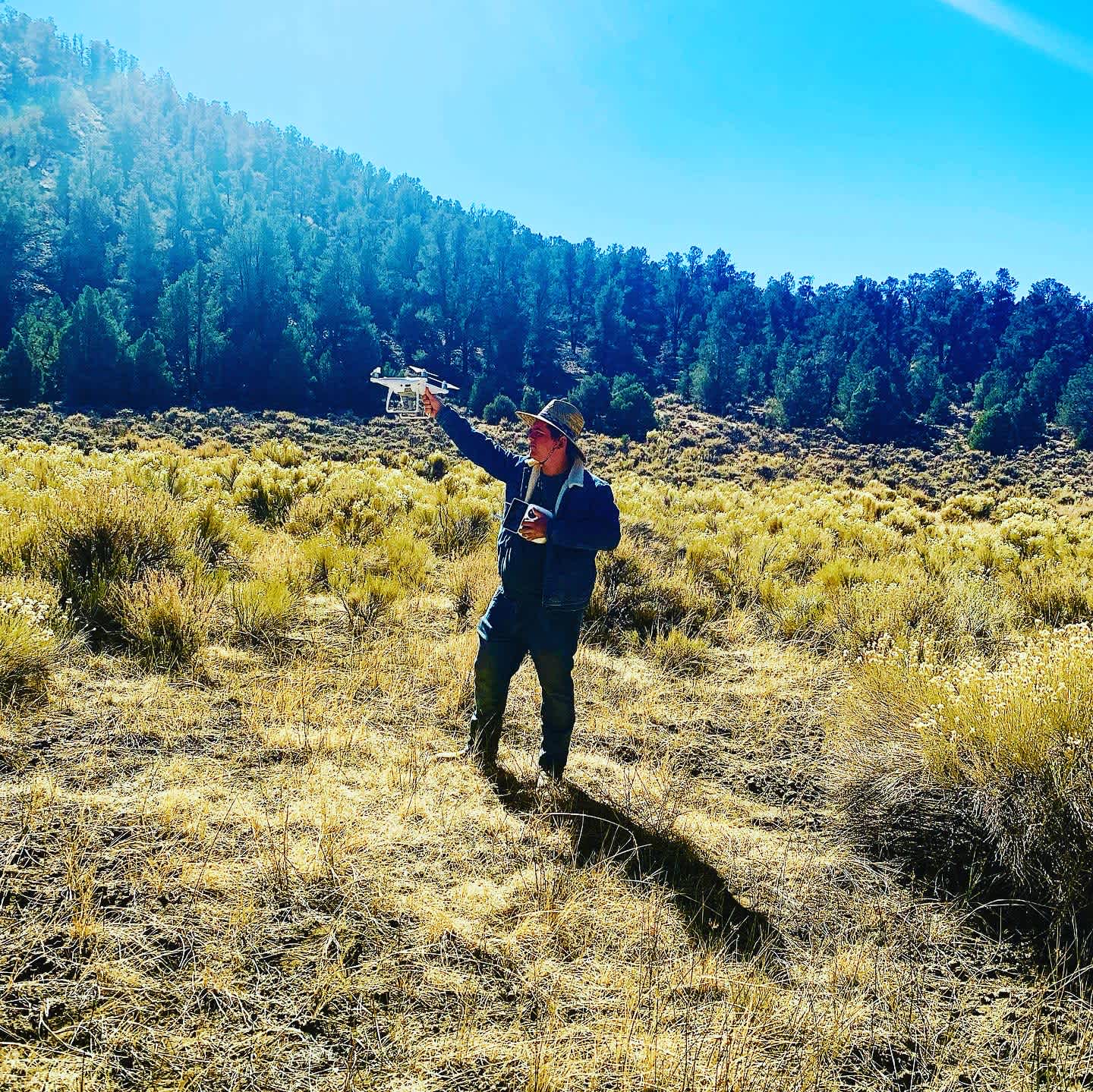 Sacatar Meadow