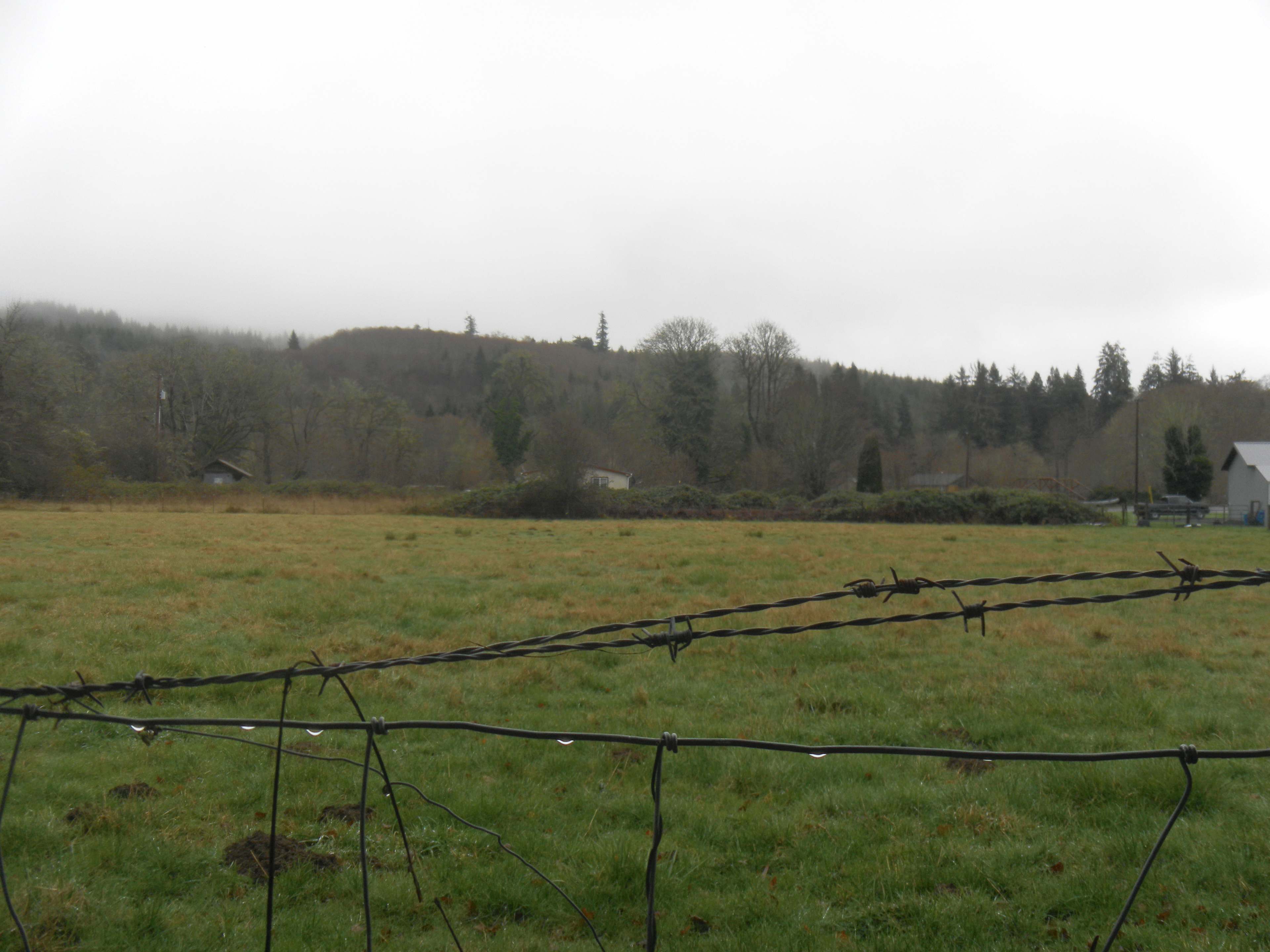 Camp Eden